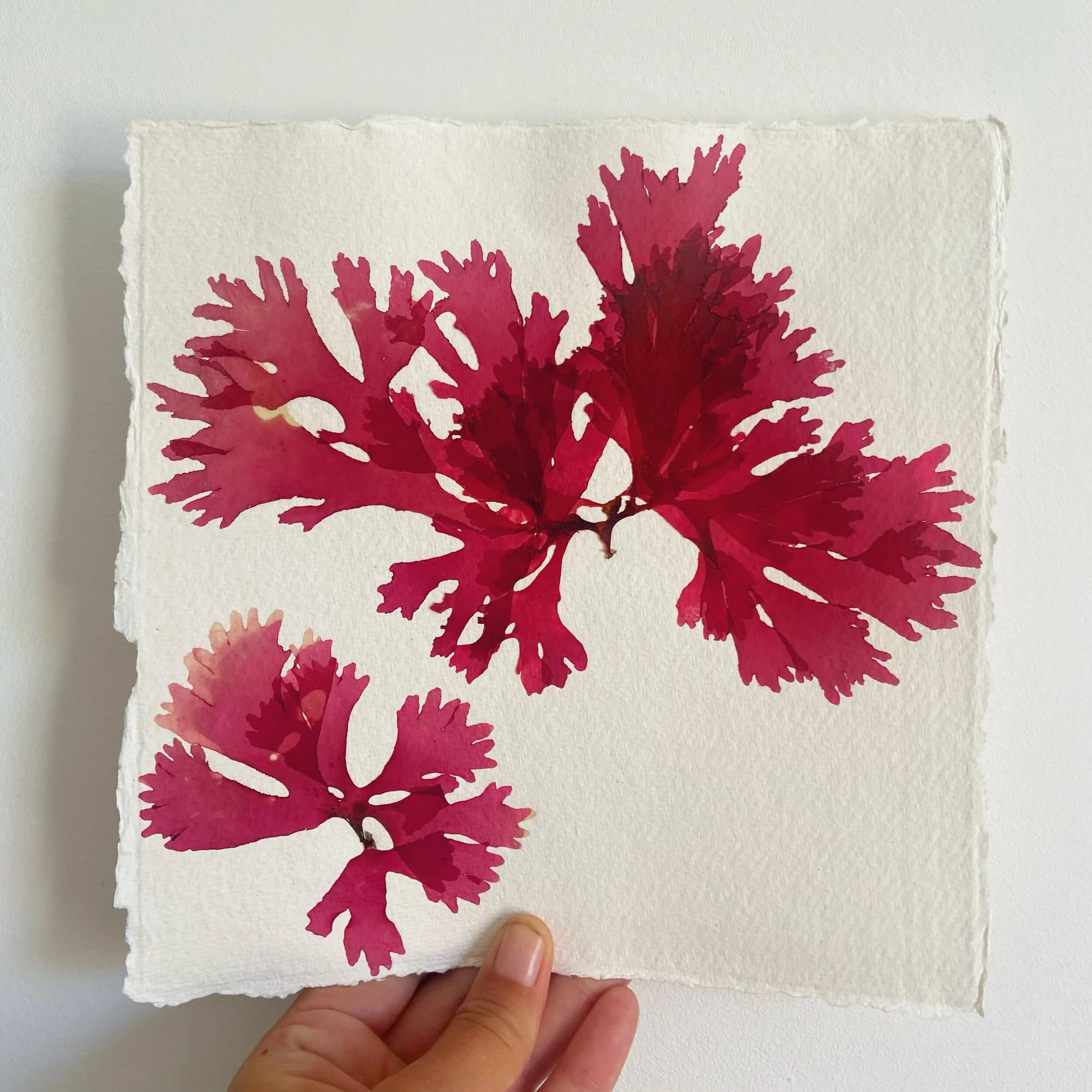 1E598875-508B-4322-8D70-7AB9D0B83501