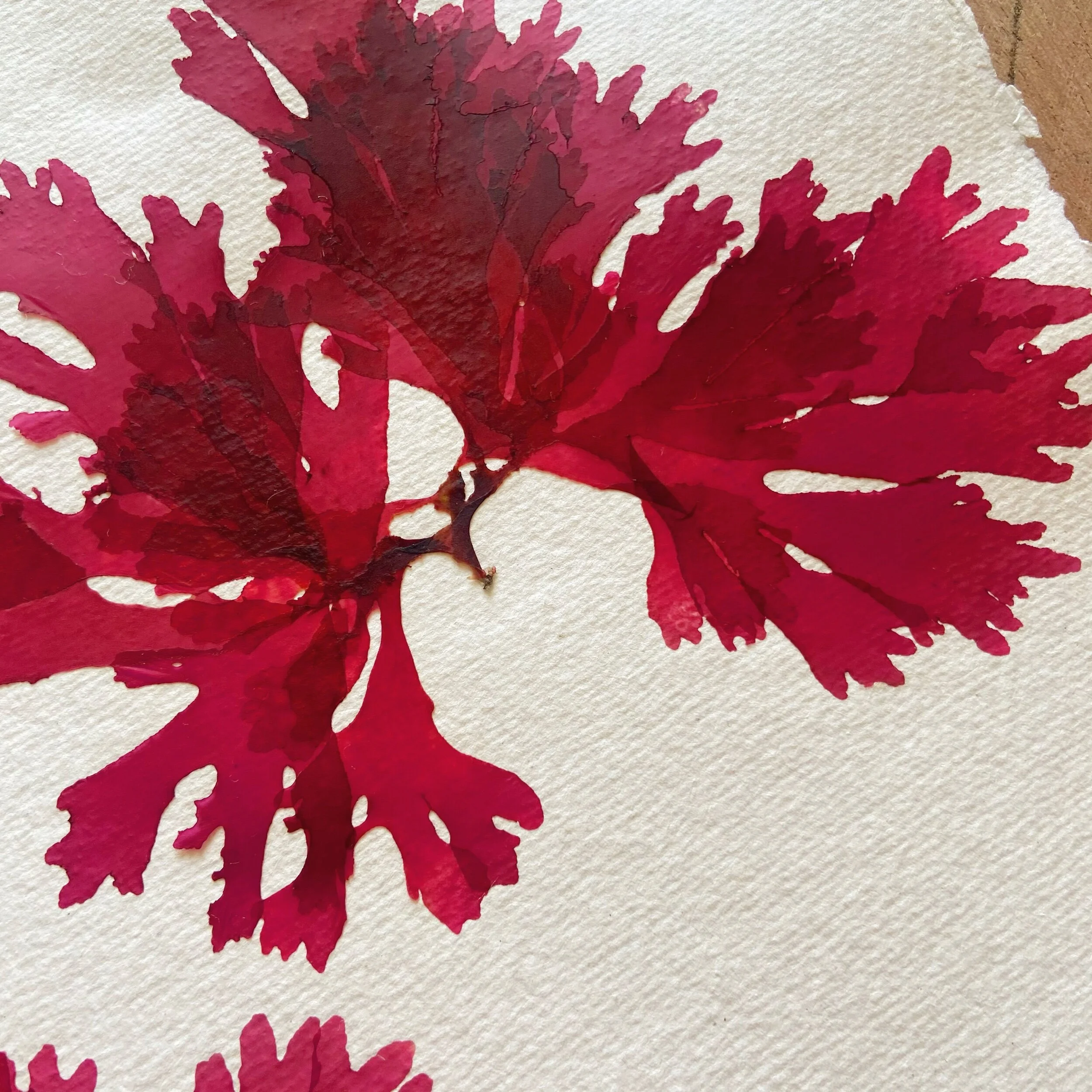 E73E5602-E79E-496A-B5F8-8B33A9716D0E