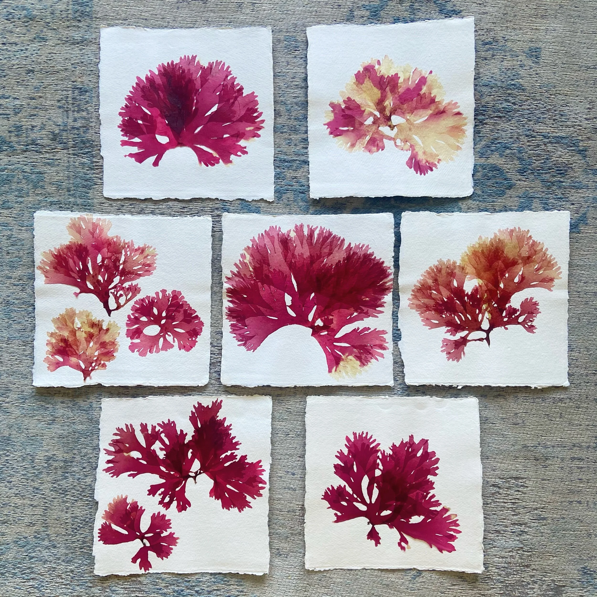 A1DA9290-06FD-42EB-92F9-74DCC5FD8452