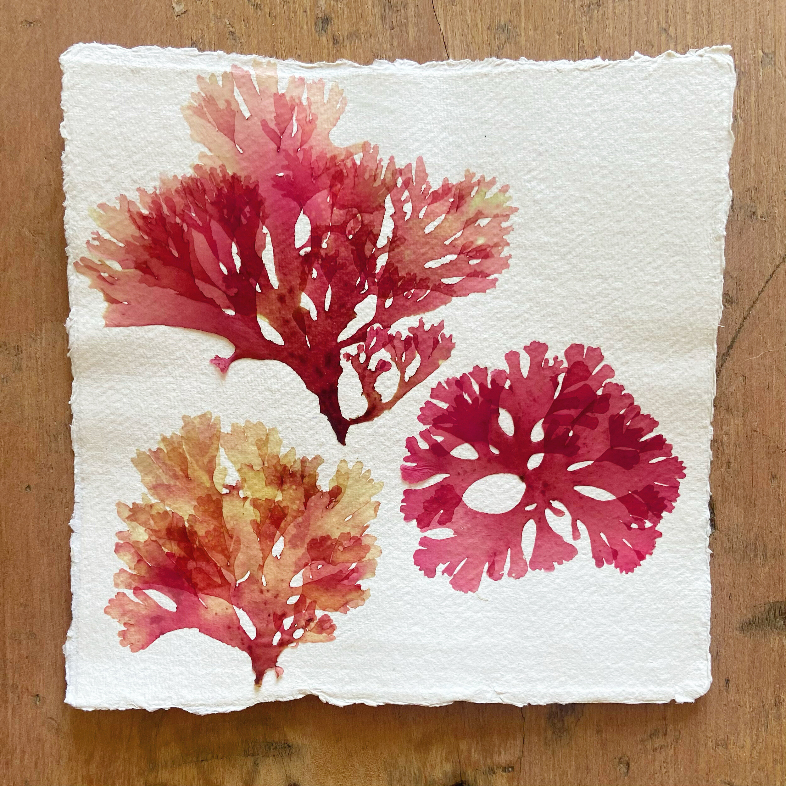 D6DEE9E0-C014-403A-97D9-CAED1536D77C