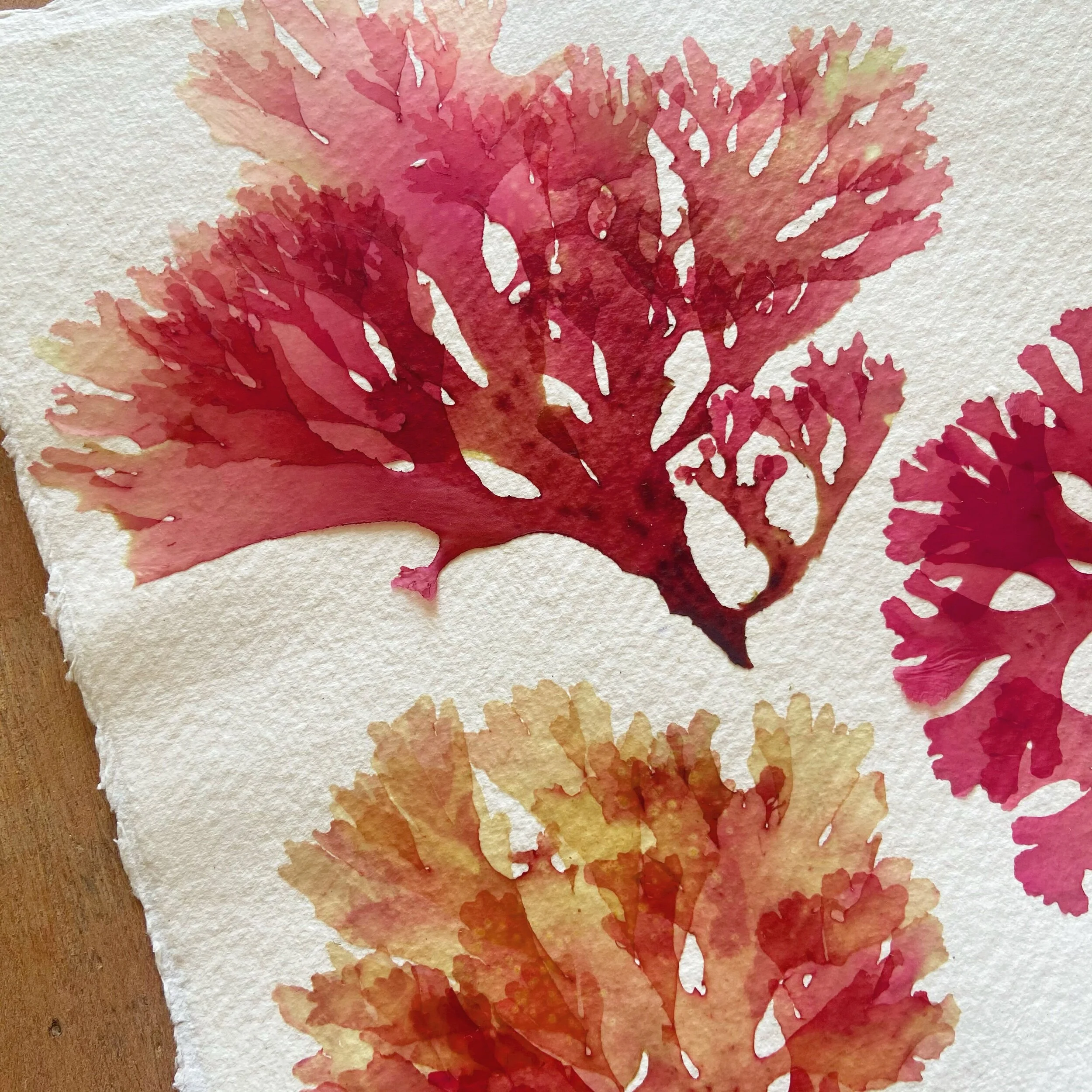 3F6A3674-9999-4963-838E-5AF873B00EDE