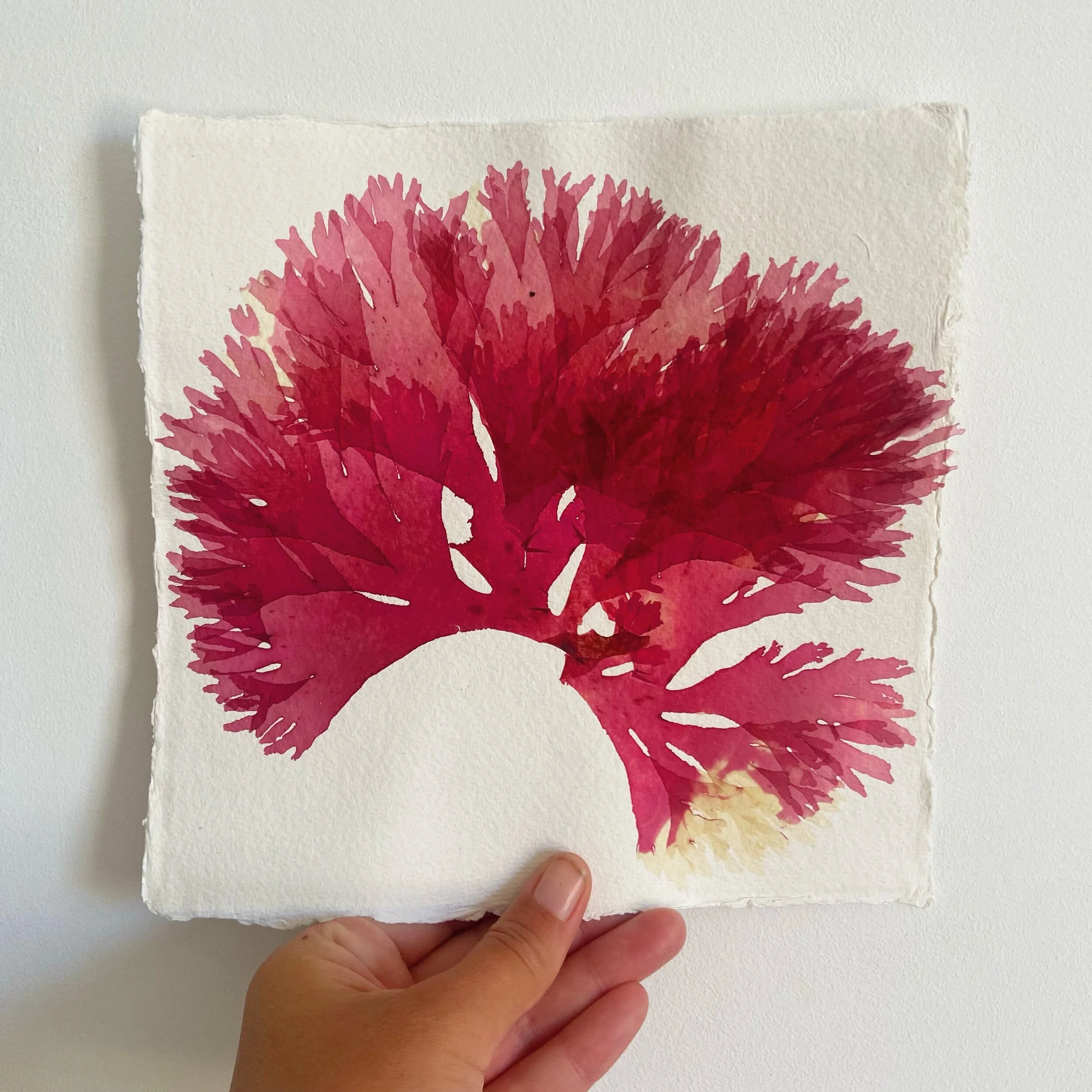 0CC3BC3F-9CCD-4111-985D-7A072CA1028D