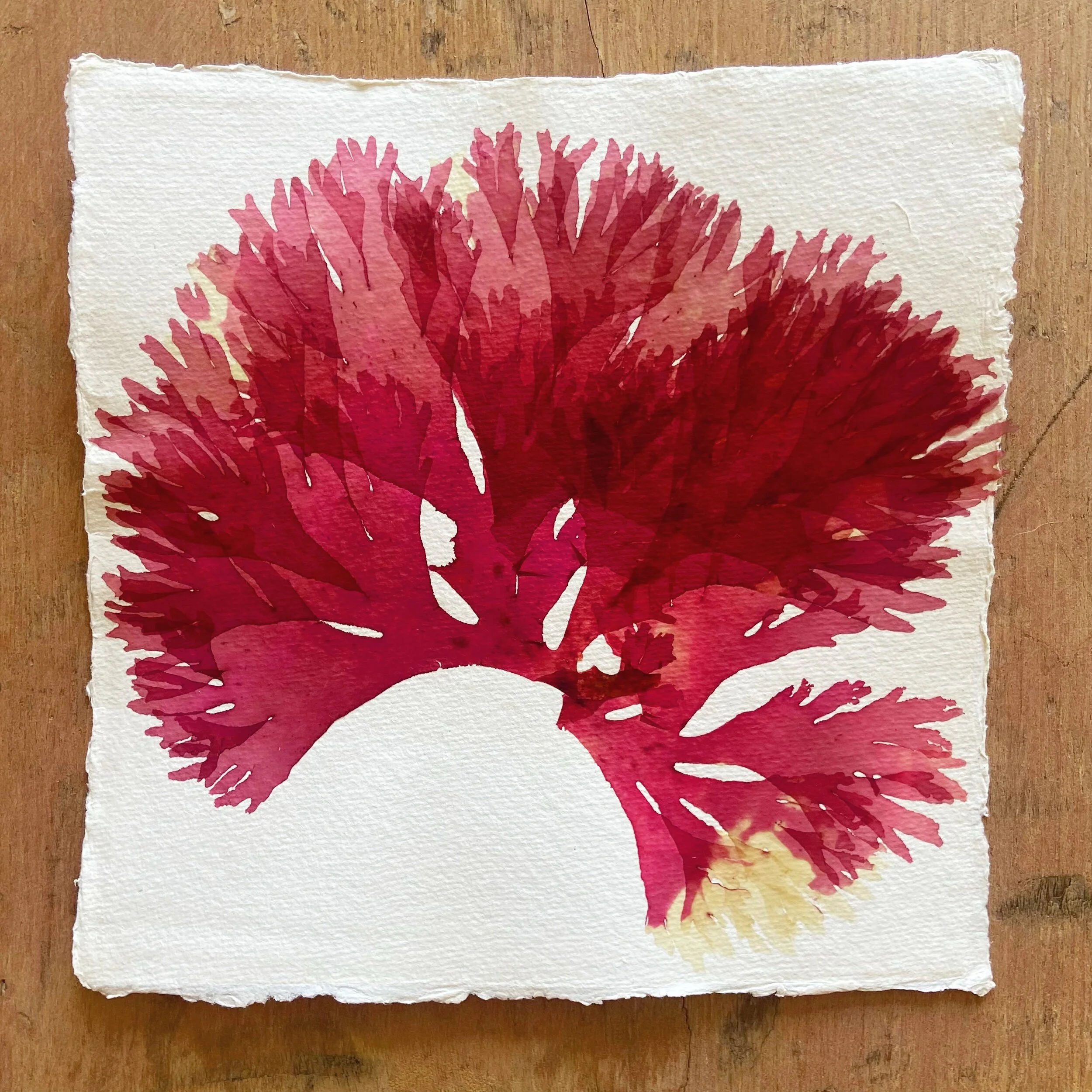 29C3CD97-1415-4244-BE94-E809421D31C7