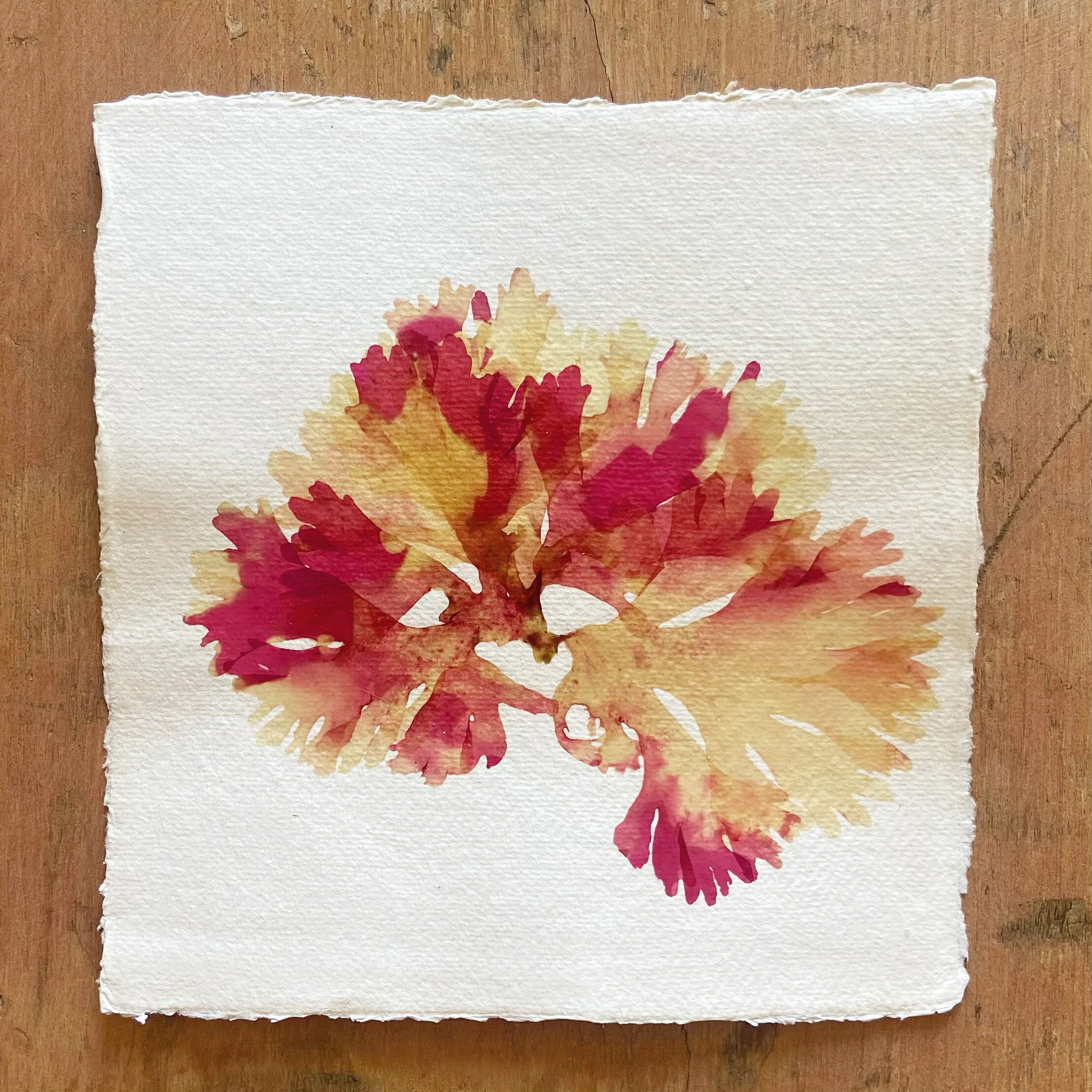 066B1B13-5B9D-4244-BA5C-81DD2076656D