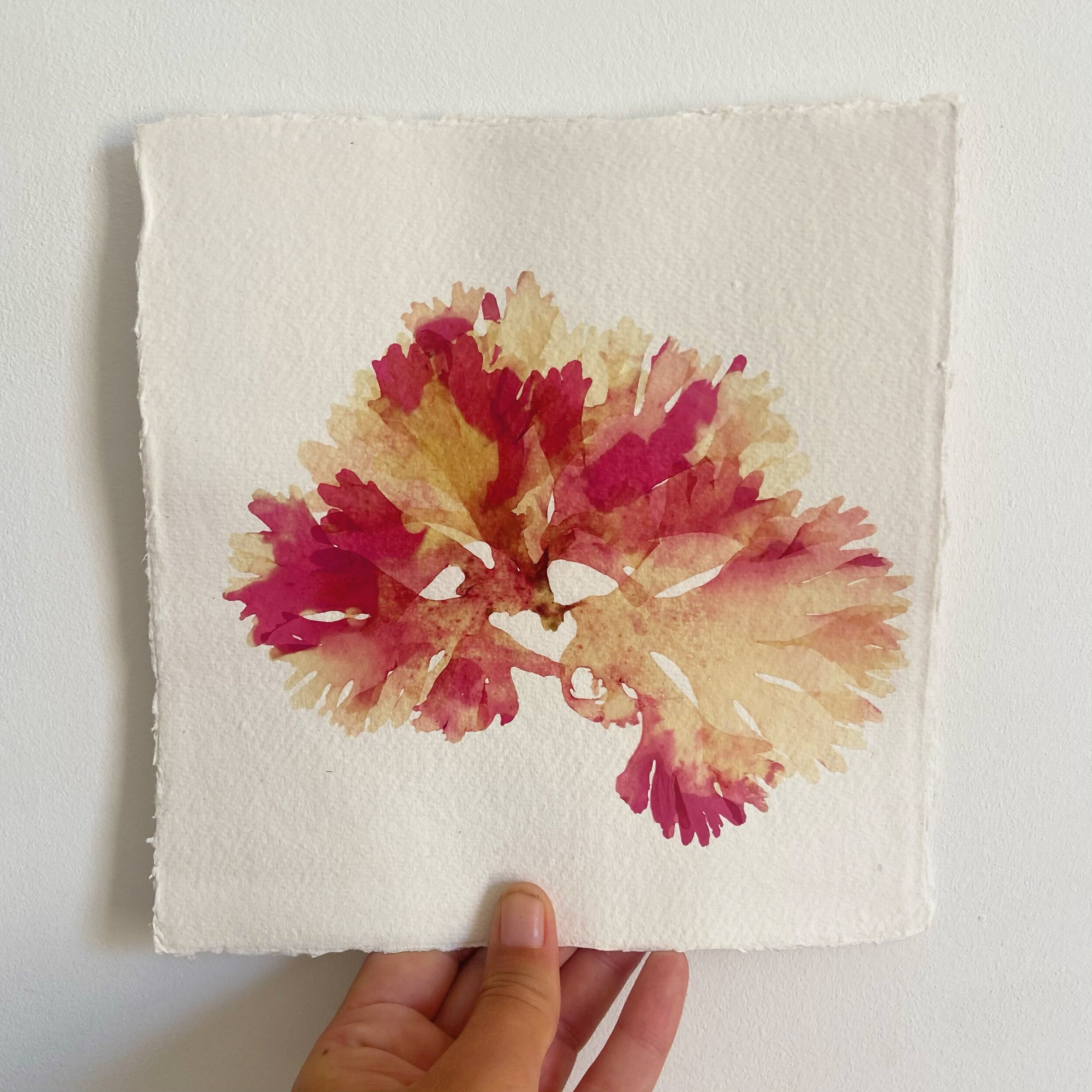 121DF086-A3F7-4674-AD68-379BF150243C