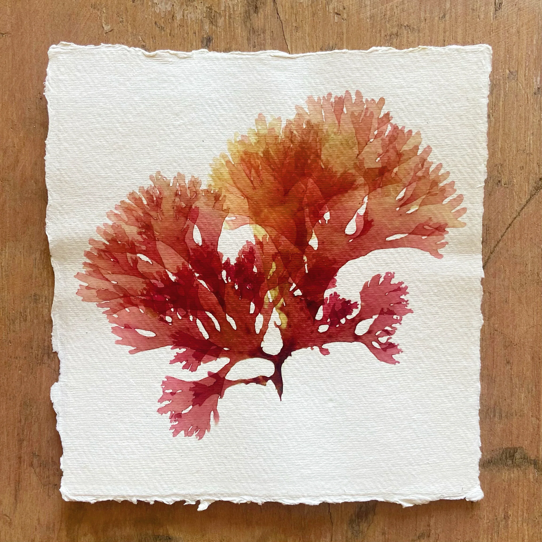 5BF025D0-BDC7-4A90-B79E-946DD4B0100B