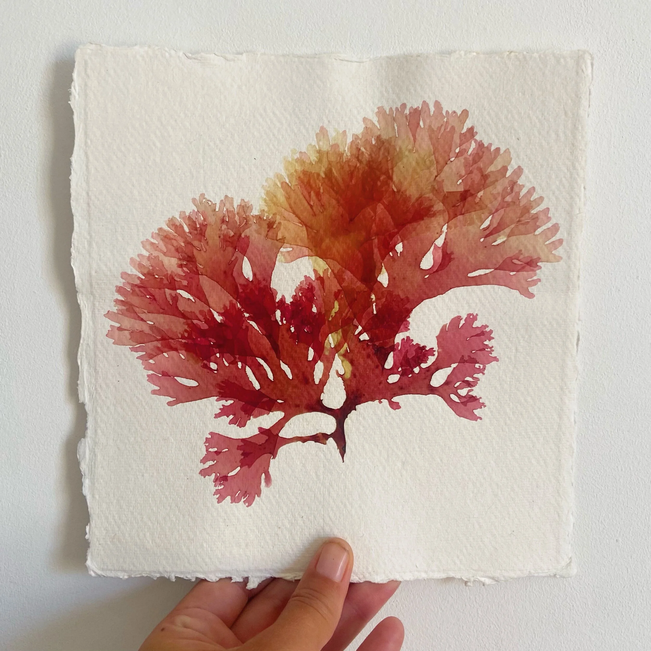 F3605596-31B2-4CBF-9658-A969740D954A