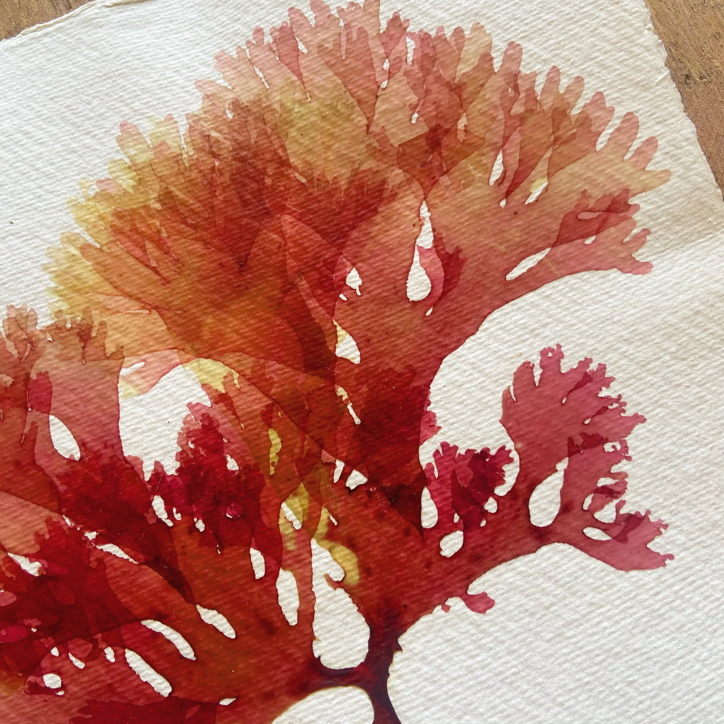 43486EB8-1B8B-4325-AC7E-B758E43AD91C