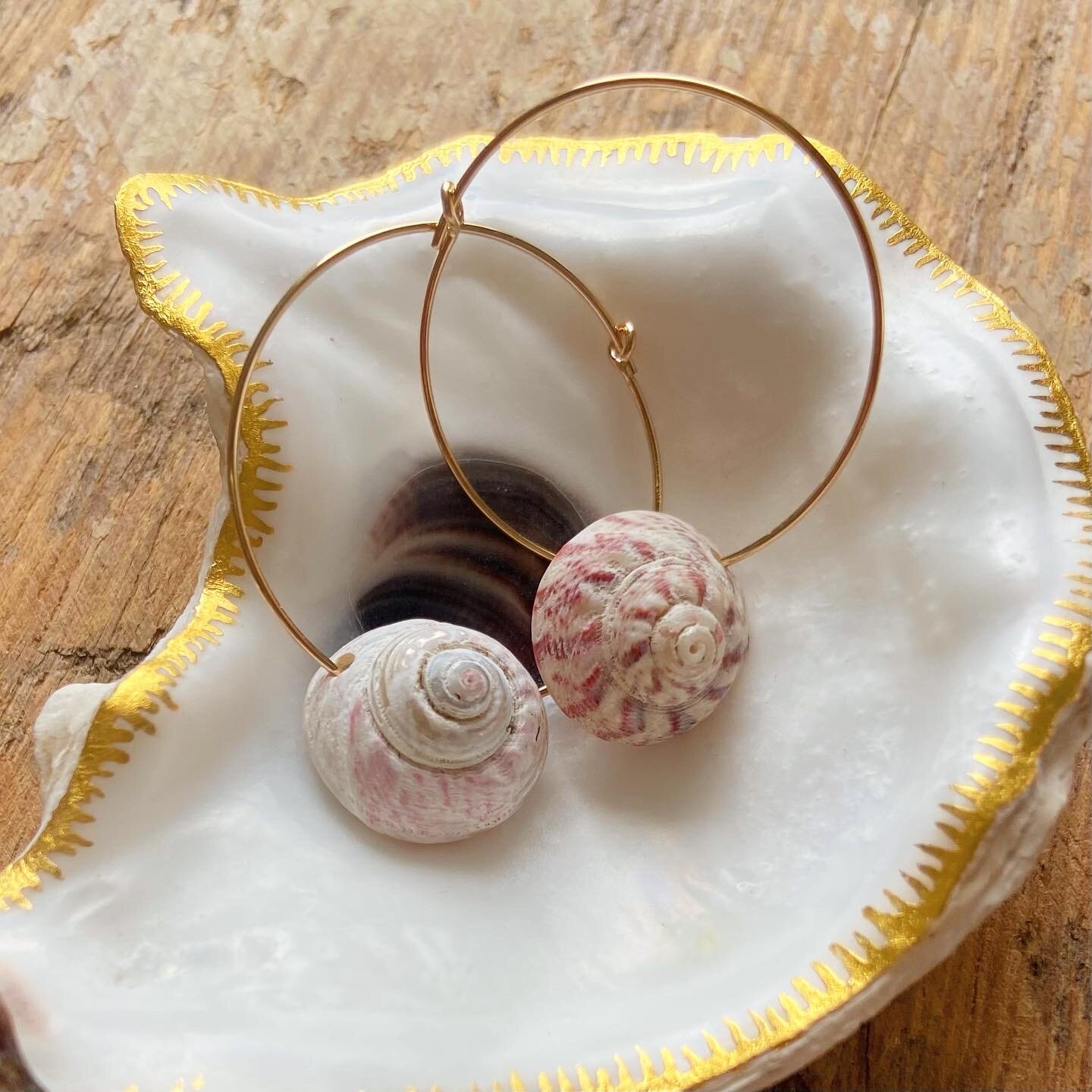 FEB16224-746E-4D37-8710-BC0E00E47C18