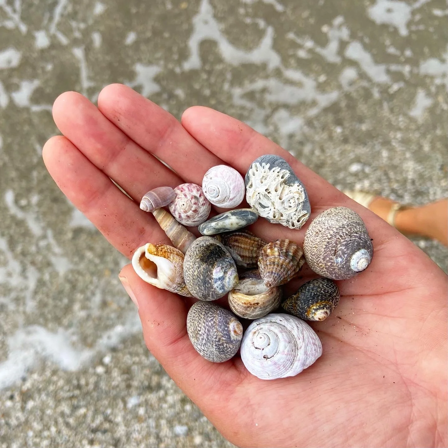 F0ECAB4E-7165-4B27-8D3E-F810C5A358A3