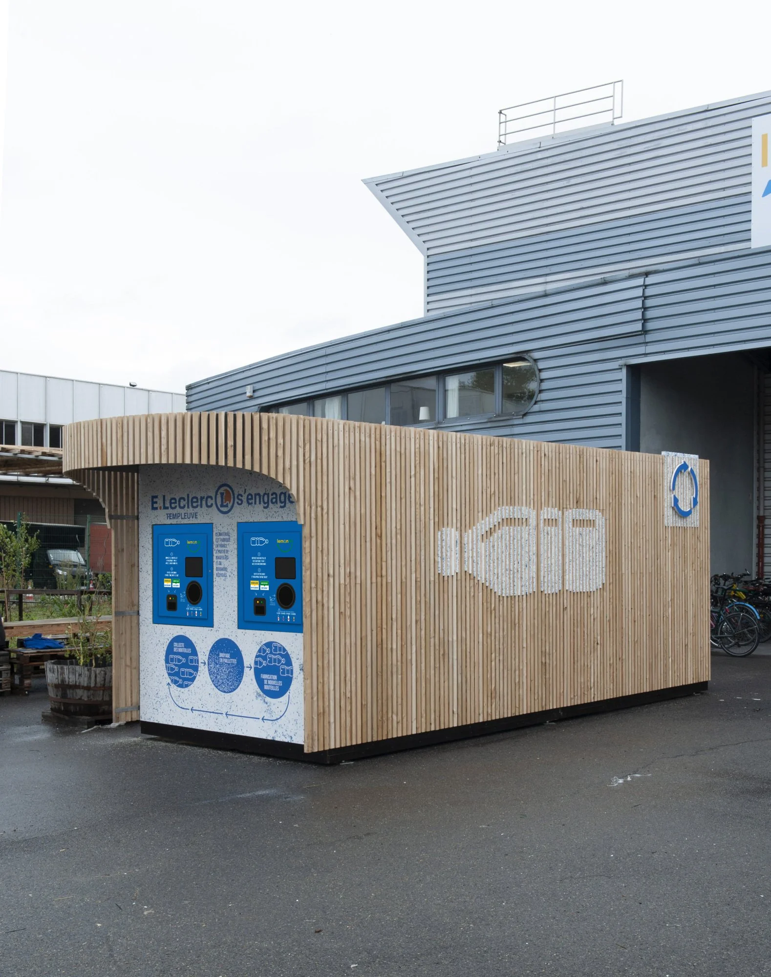 LEMON TRI-DELTA-01.JPG