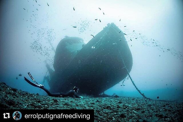 #Repost @errolputignafreediving with @get_repost
・・・
105 ft (32m) below the surface will reveal a new side of you. Short mental pauses and living in the now will help you clear your mind like you&rsquo;ve never experienced before. 
Diver: @watermansu