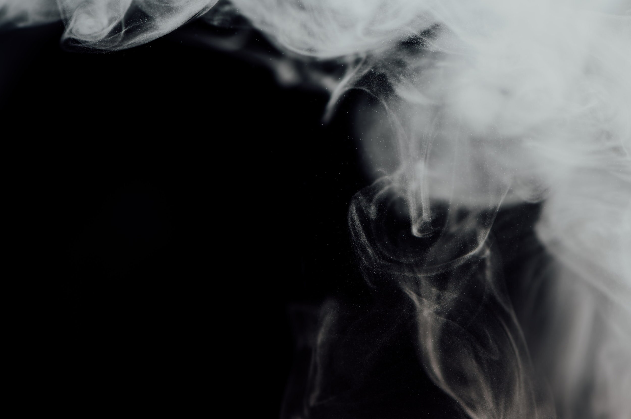 tobacco license michigan cost Untitled