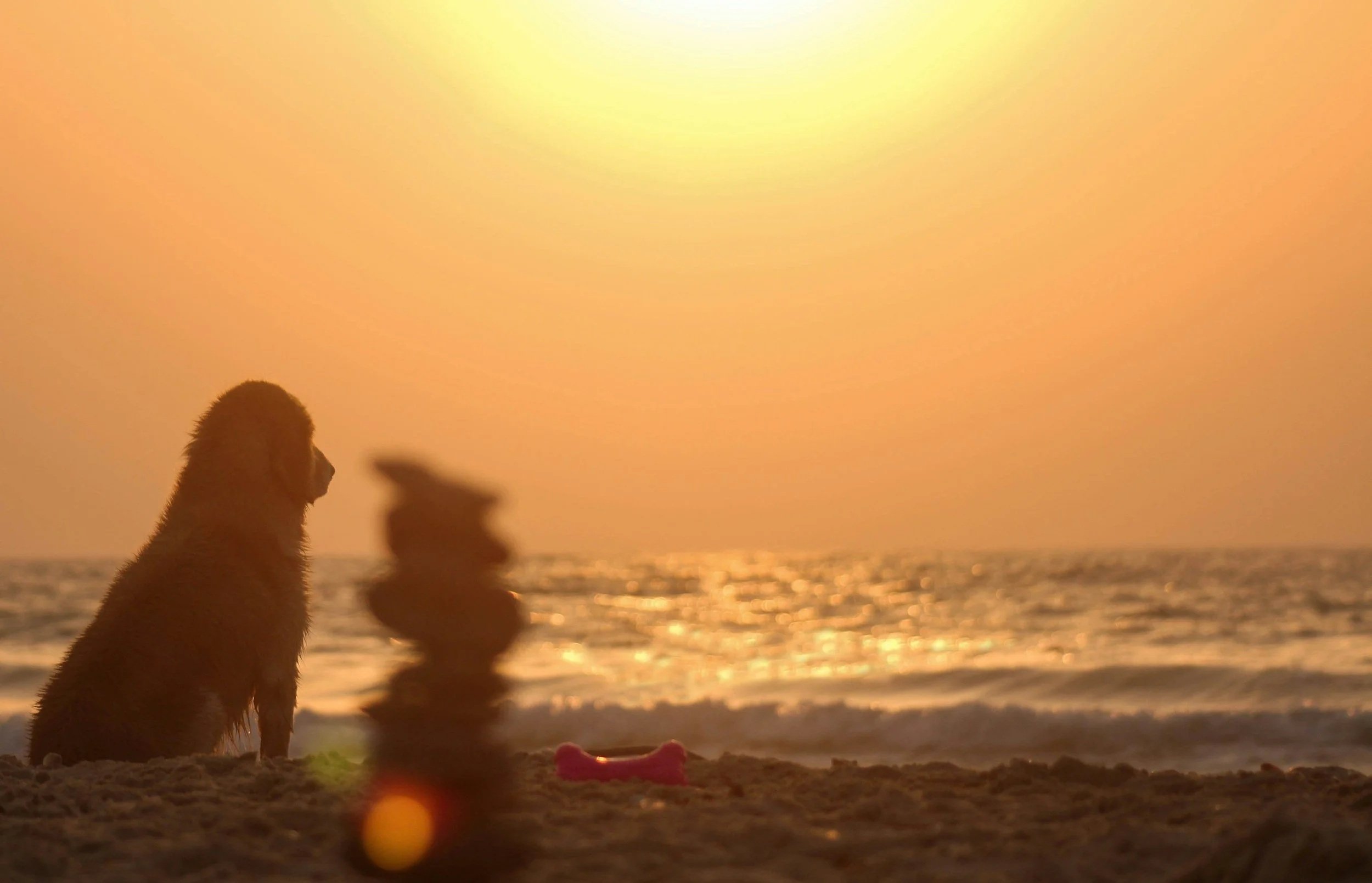 A Simple Anxiety Coping Strategy for the Middle of Summer: Using the “Temperature Check” Technique