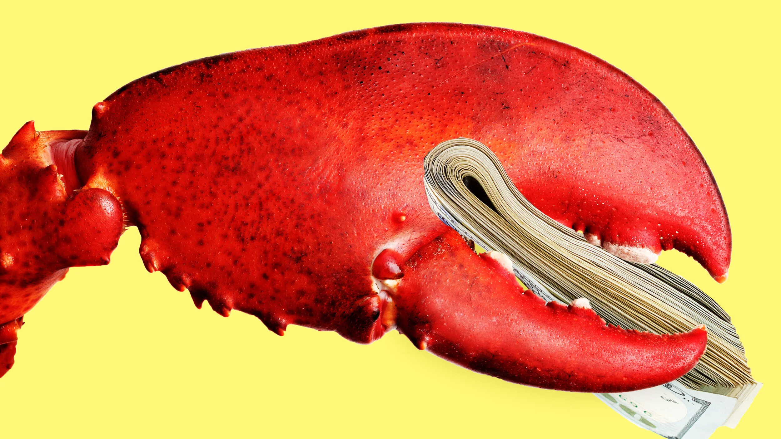 The Bombastic Battle That Could Wipe Out Lobster Rolls