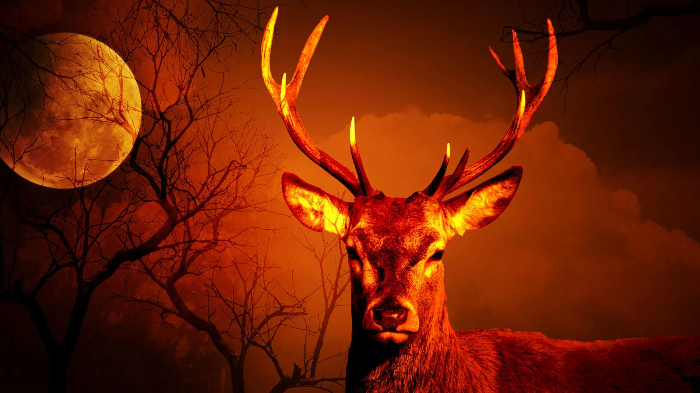 Zombies, Semen, and Big Racks: Inside The Texas Deer Breeding Industry