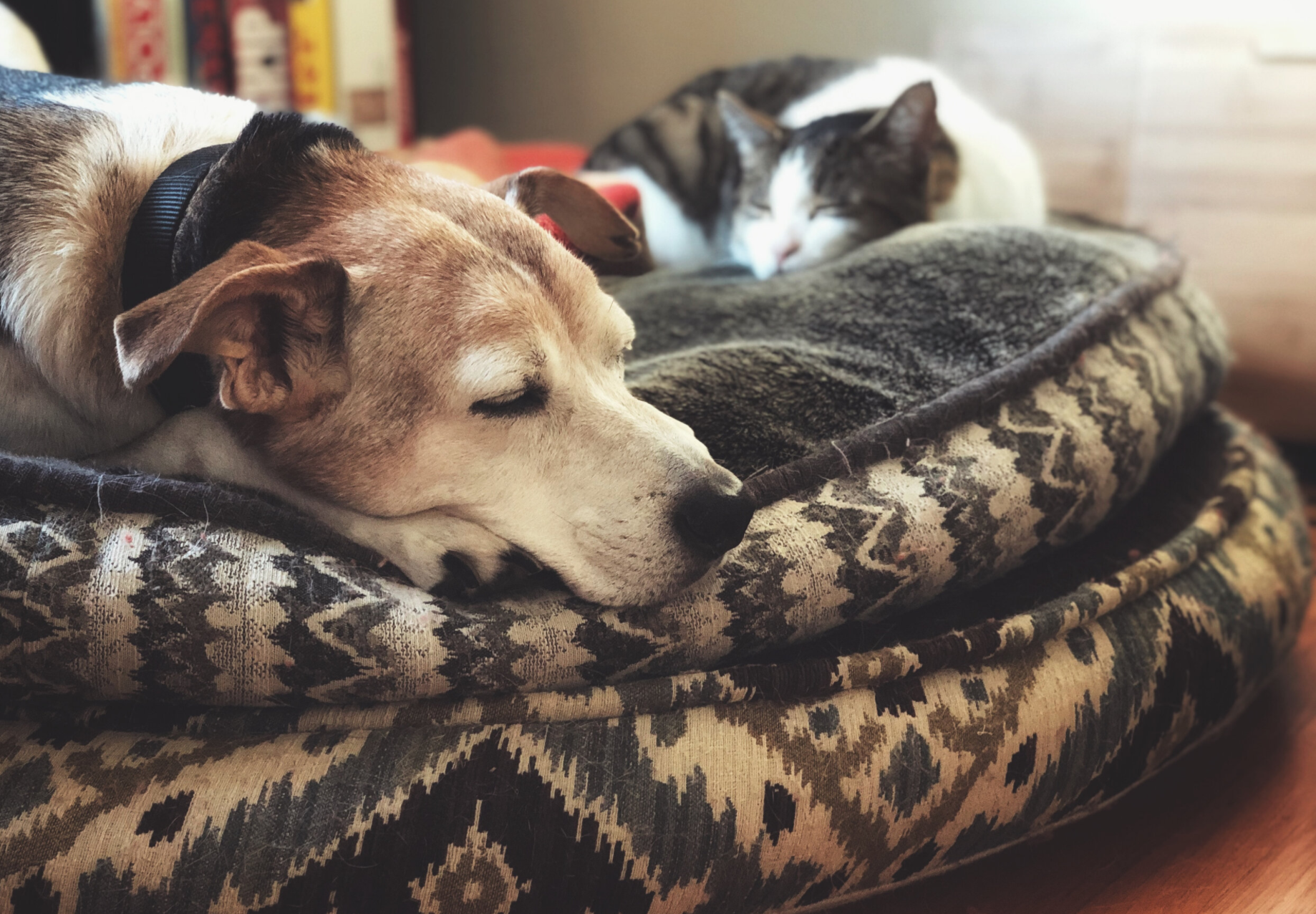 Screen Shot 2020-10-12 at 6.15.09 PM.png