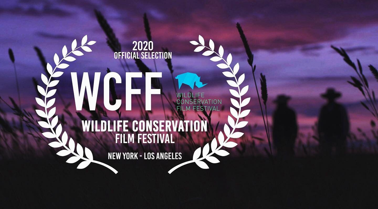 Grass Farmers is on its way to New York and Los Angeles ... virtually! Thanks for the honour @wcff_org and @awcanada 🙏🙏🙏
