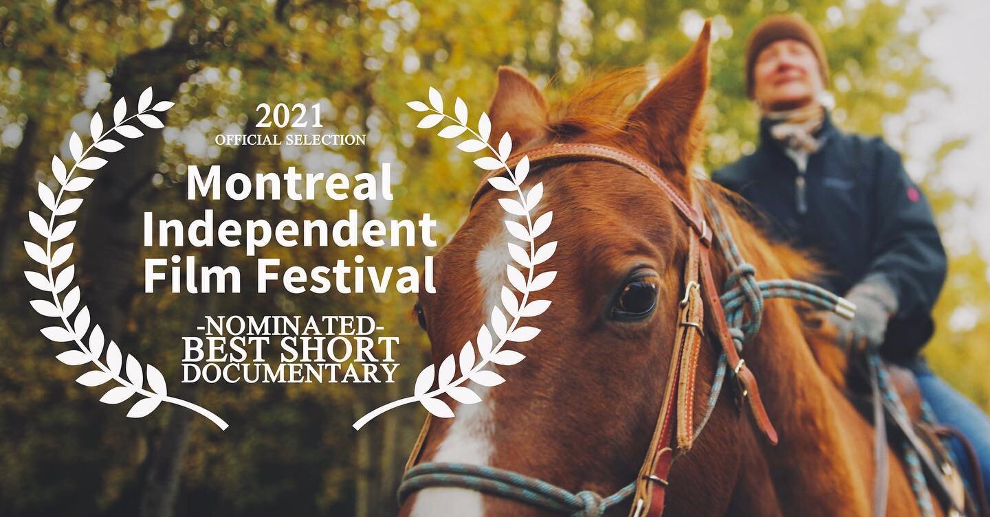 Grass Farmers is proud to announce our 2nd festival nomination! Thank you @montrealindependentfilmfest for helping bring attention to the game changing potential of regenerative agriculture and the people and companies who are making it happen 🌱