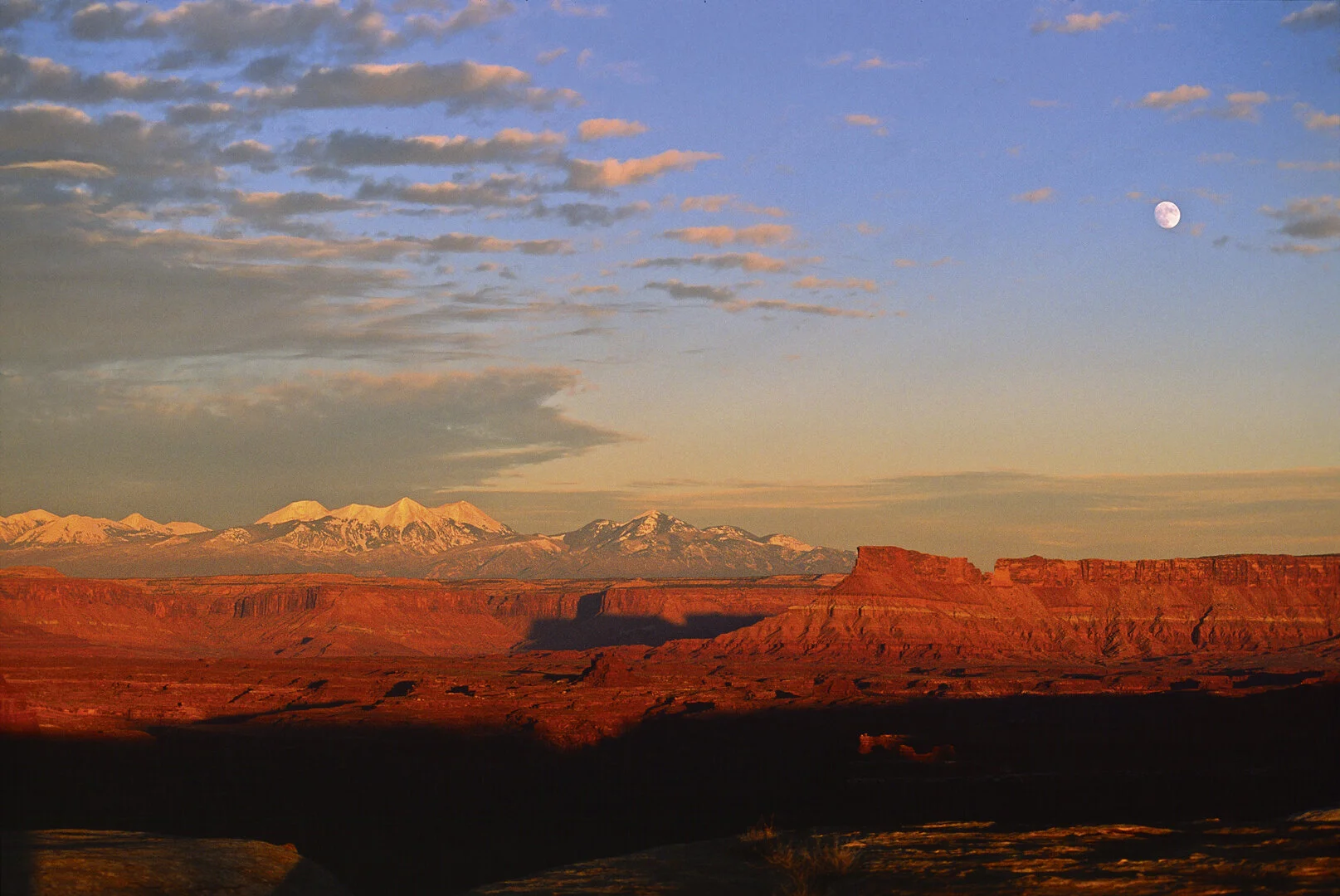 003_WhitRim_002.jpg