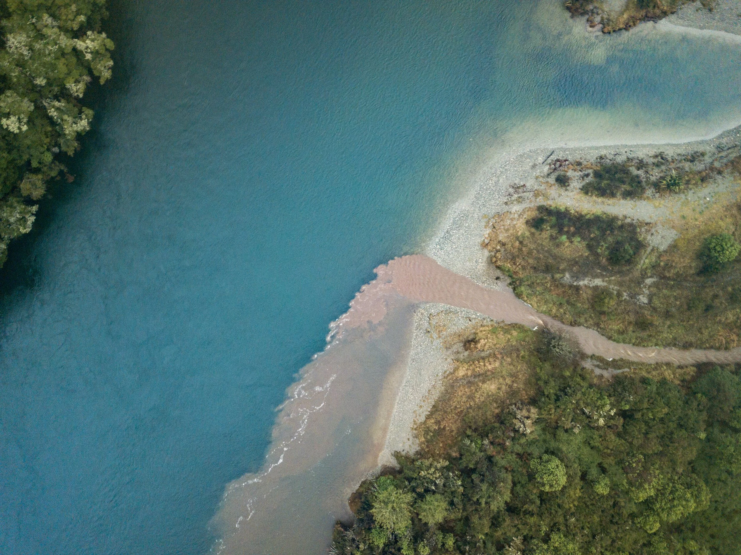 PRESS RELEASE: Govt’s justification for last-minute RMA changes appears to directly contradict EU Free Trade Agreement