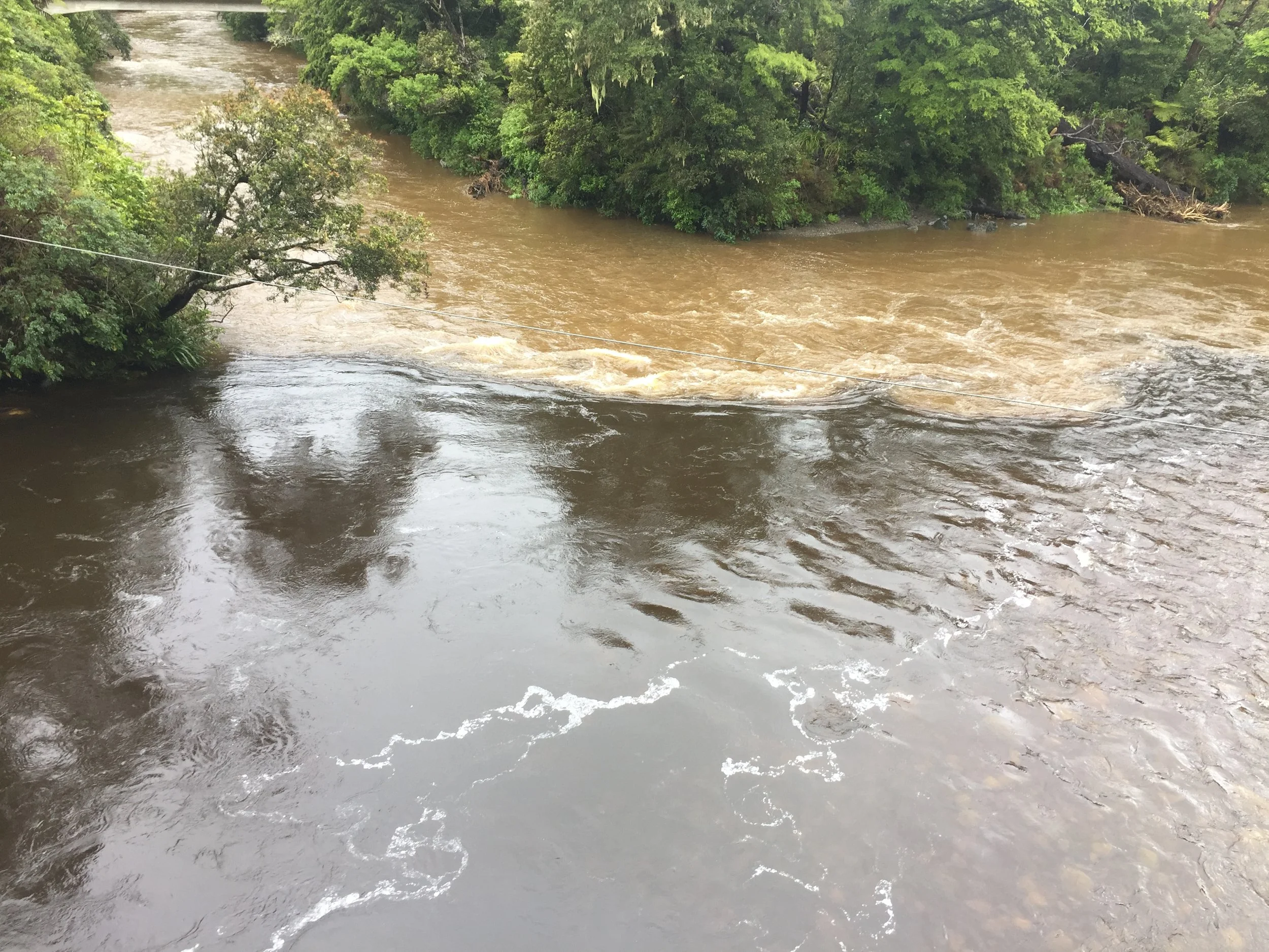 Press release: “Don't be fooled”: Govt's freshwater reforms means more pollution in your water and commercial control of public resources