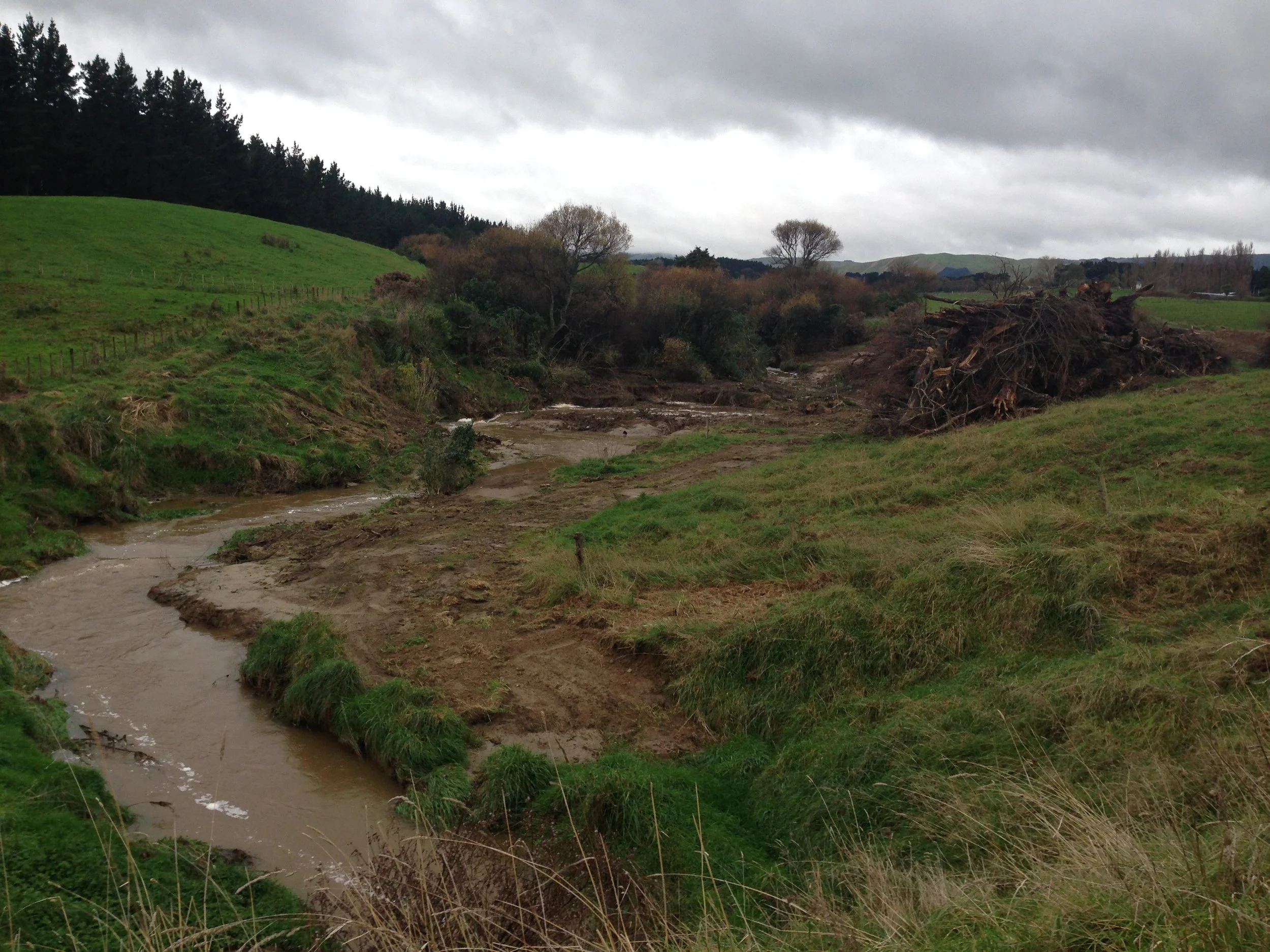 Press release: “More holes than an old sieve”: Government’s pro-polluter planning reform will make freshwater pollution easy