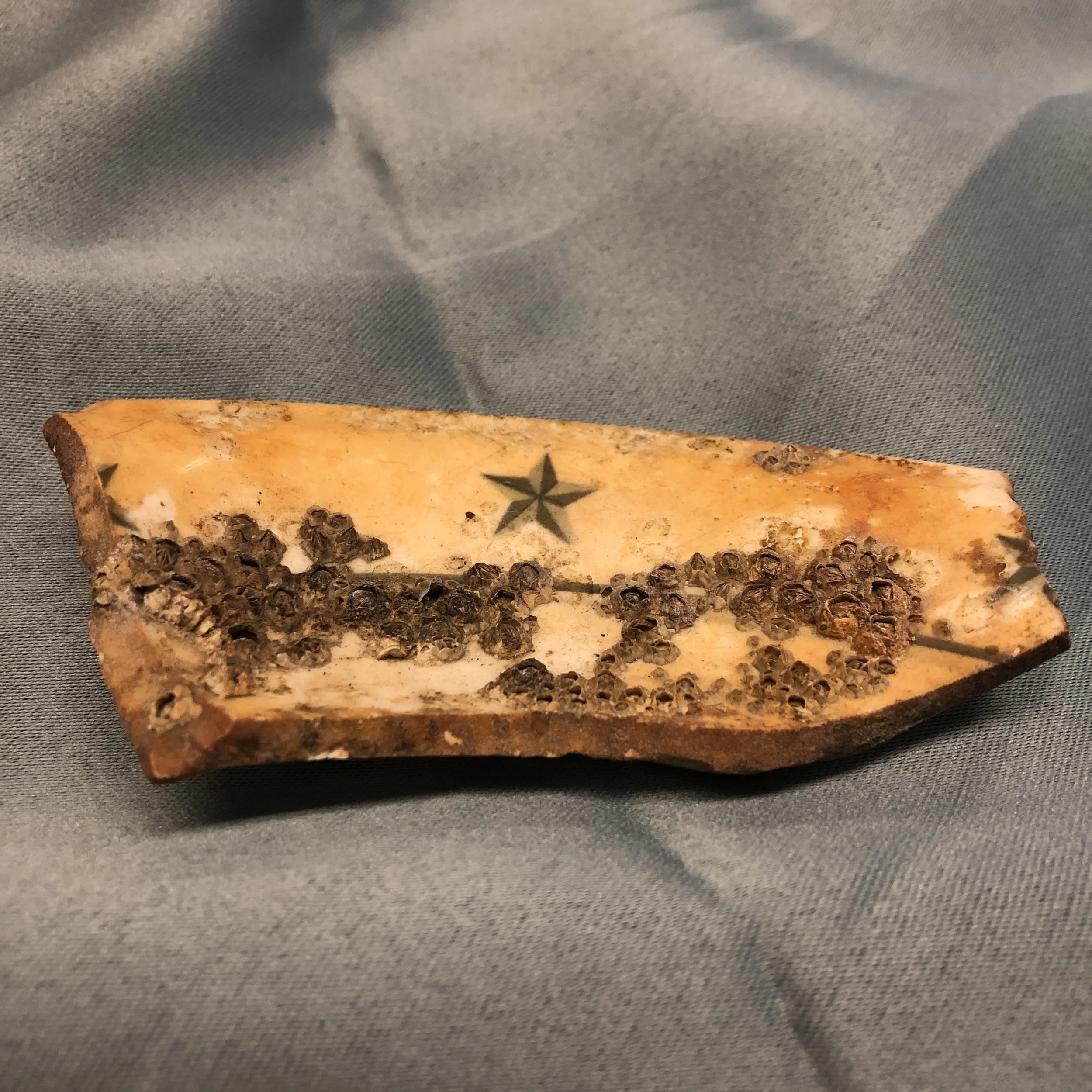 Sea Pottery Shards, collected 2001 - 2017, Southampton. 