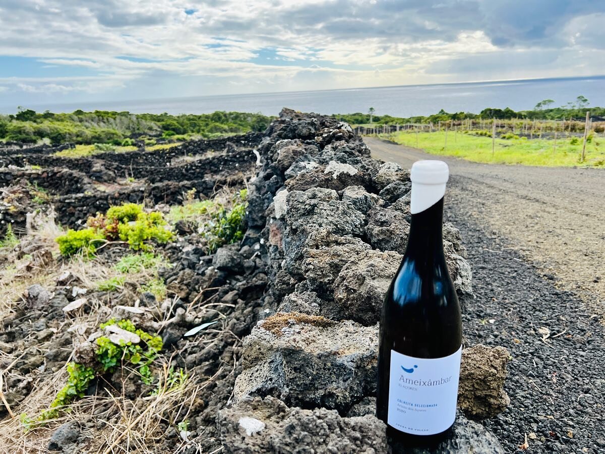 Reminiscing on our recent trip to the A&ccedil;ores Islands with this salty, volcanic Arinto from Adega do Vulc&atilde;o. Vibrant, flinty, and mineral driven, this refreshing wine offers a thought-provoking taste of the immense potential from this hi