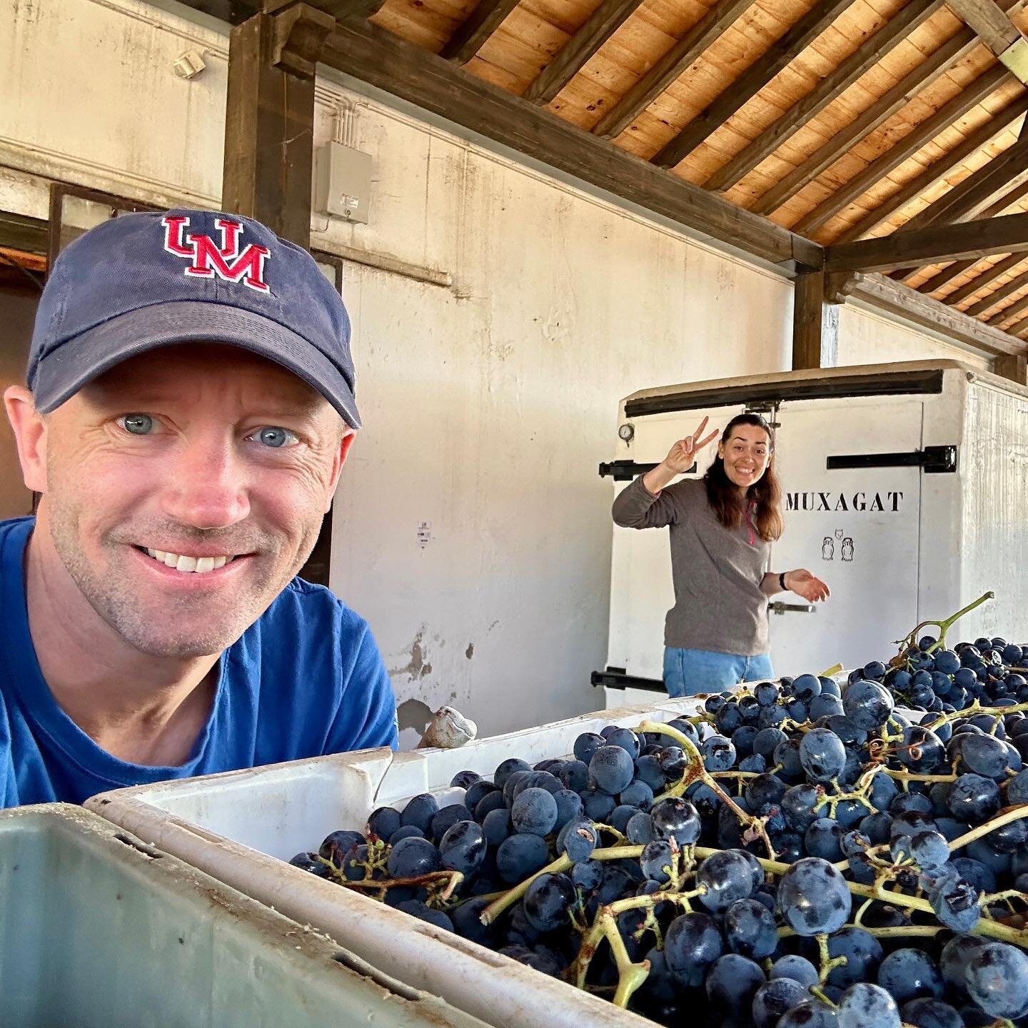 Welcome to Muxagat in M&ecirc;da, home of one of the region&rsquo;s forces of nature, Susana Lopes. Harvest 2023 in Douro Superior where @muxagatvinhos and their team deliver on highlighting both single varietal and blended reflections of their terro