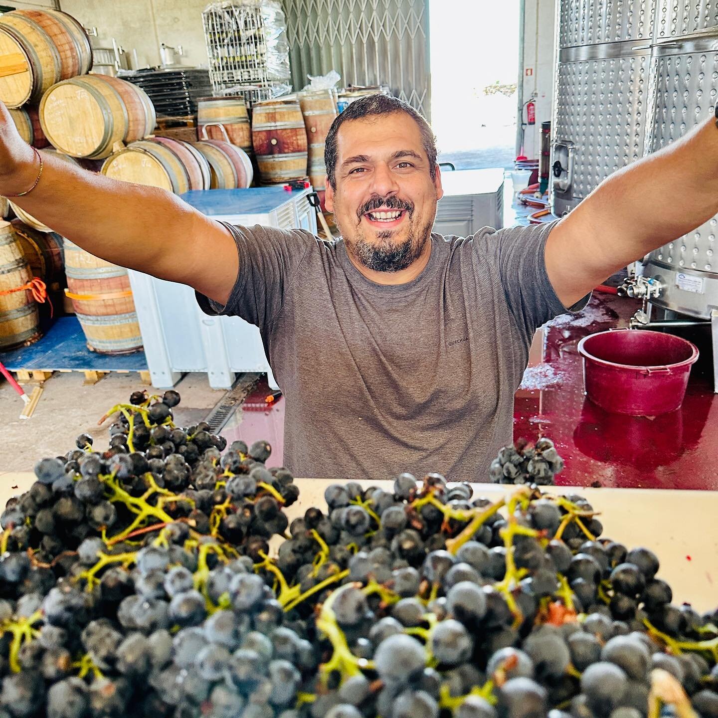 Harvest with Pedro @pormenorvinhos is always special. A brother and friend, he&rsquo;s unwaveringly positive and thoughtful while always aimed squarely at his vision for the Douro Valley. I&rsquo;m honored to be a part of his journey. 

#realwine #wi