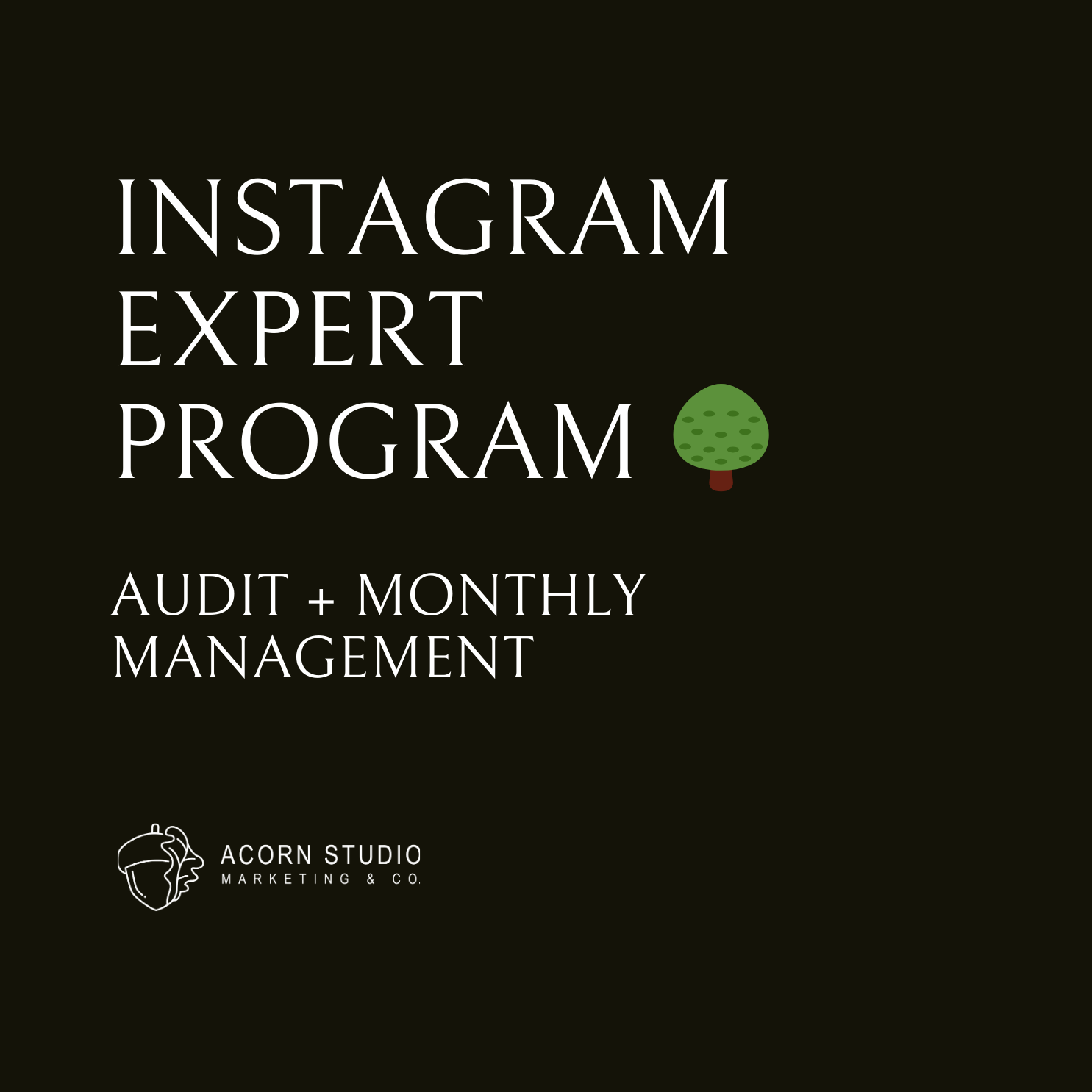 IG EXPERT PROGRAM THUMBNAIL.png