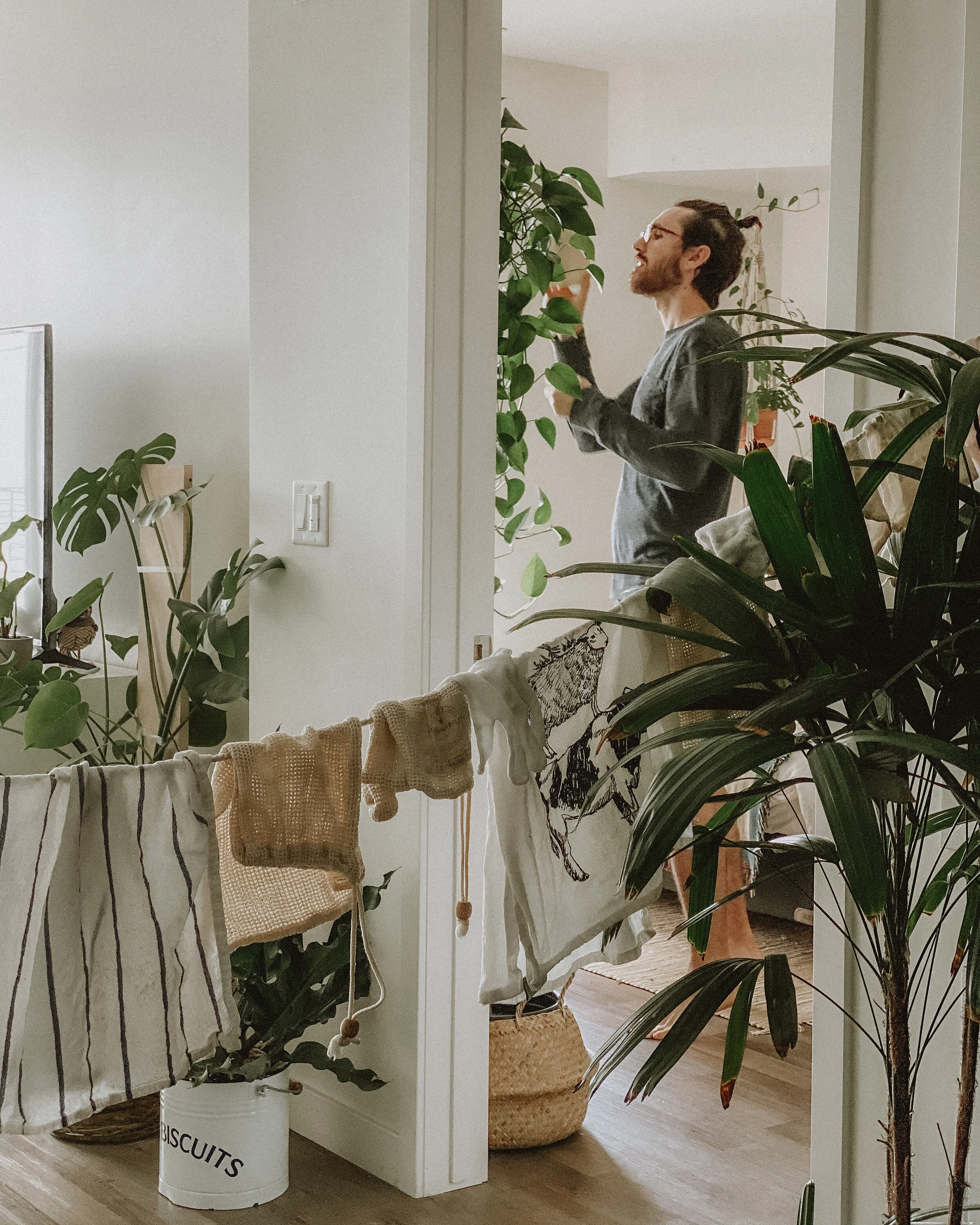 Reducing Your Carbon Footprint