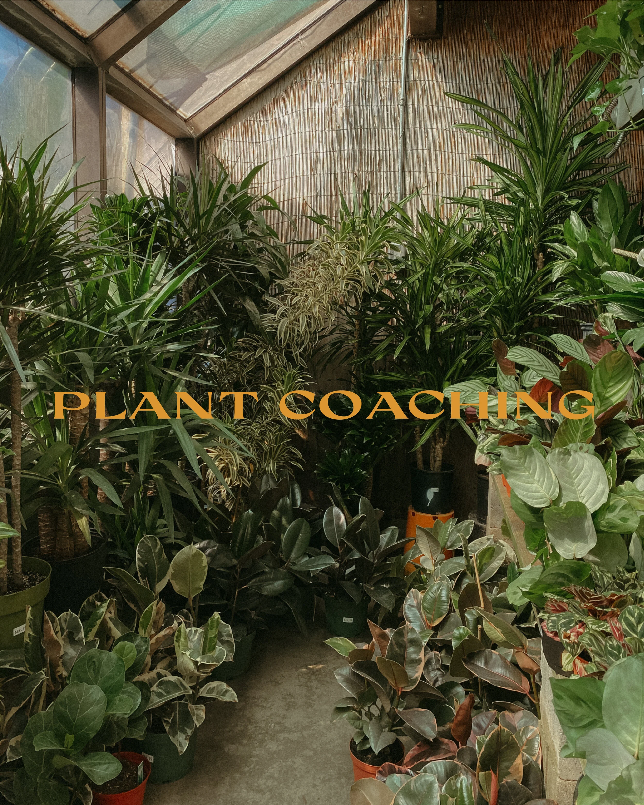 Plant Coaching with Jase and Jackson