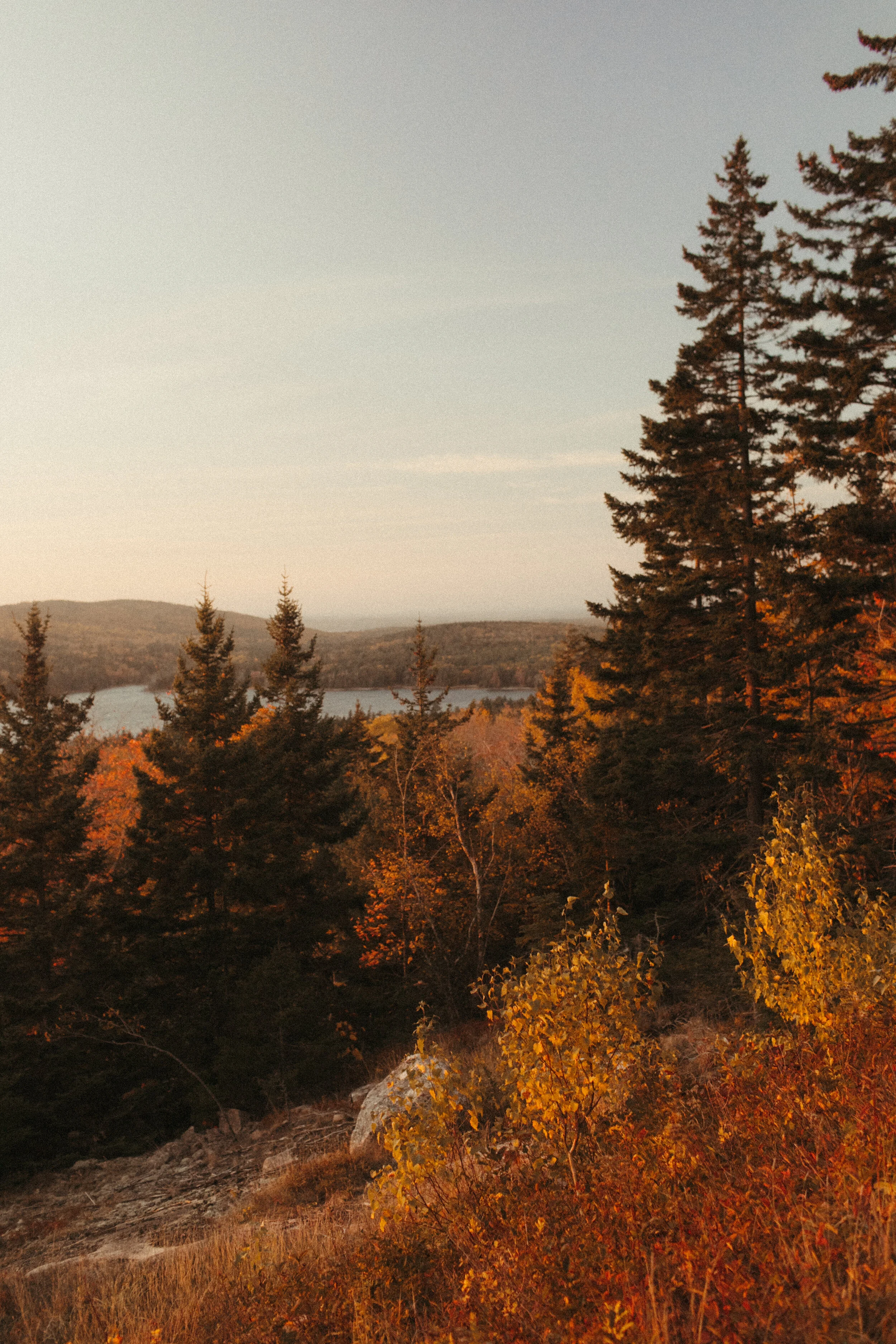 Guide to Acadia National Park in the Fall