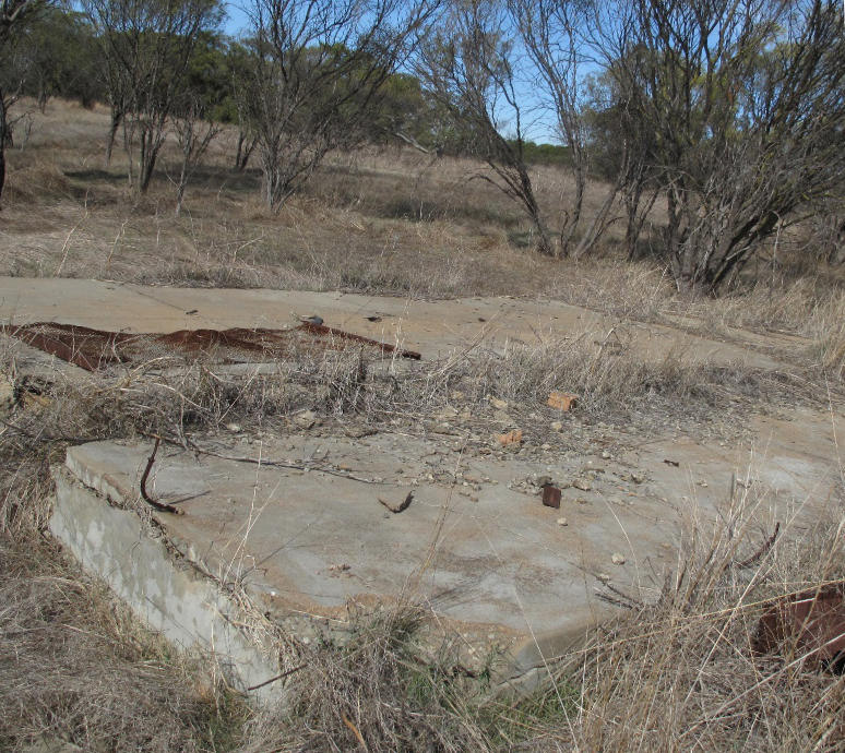 The site the Littlewell Working Group planned to preserve . This image was taken as part of a transect walk with the Working Group in Mingenew, WA