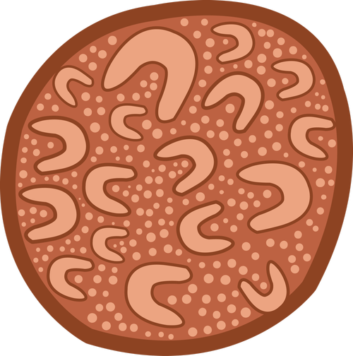 Community Development Framework Community First Development