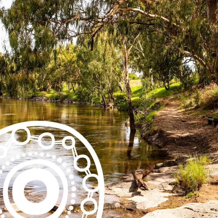  The Murrumbidgee River in Wagga Wagga, NSW. Mem collaborated with Visual Dreaming, an Aboriginal-owned social enterprise based in Wagga Wagga. 