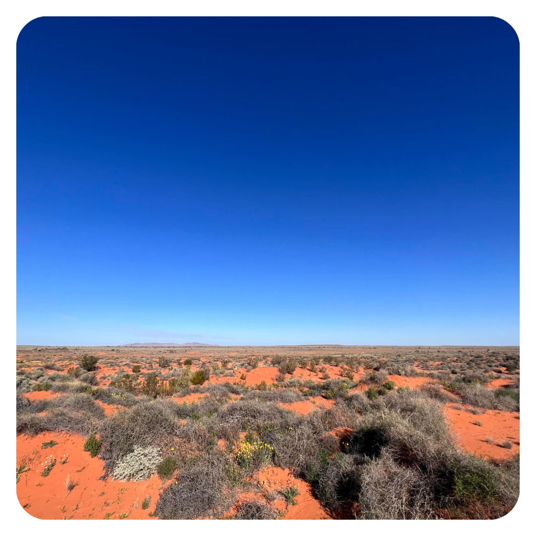 Community First Development