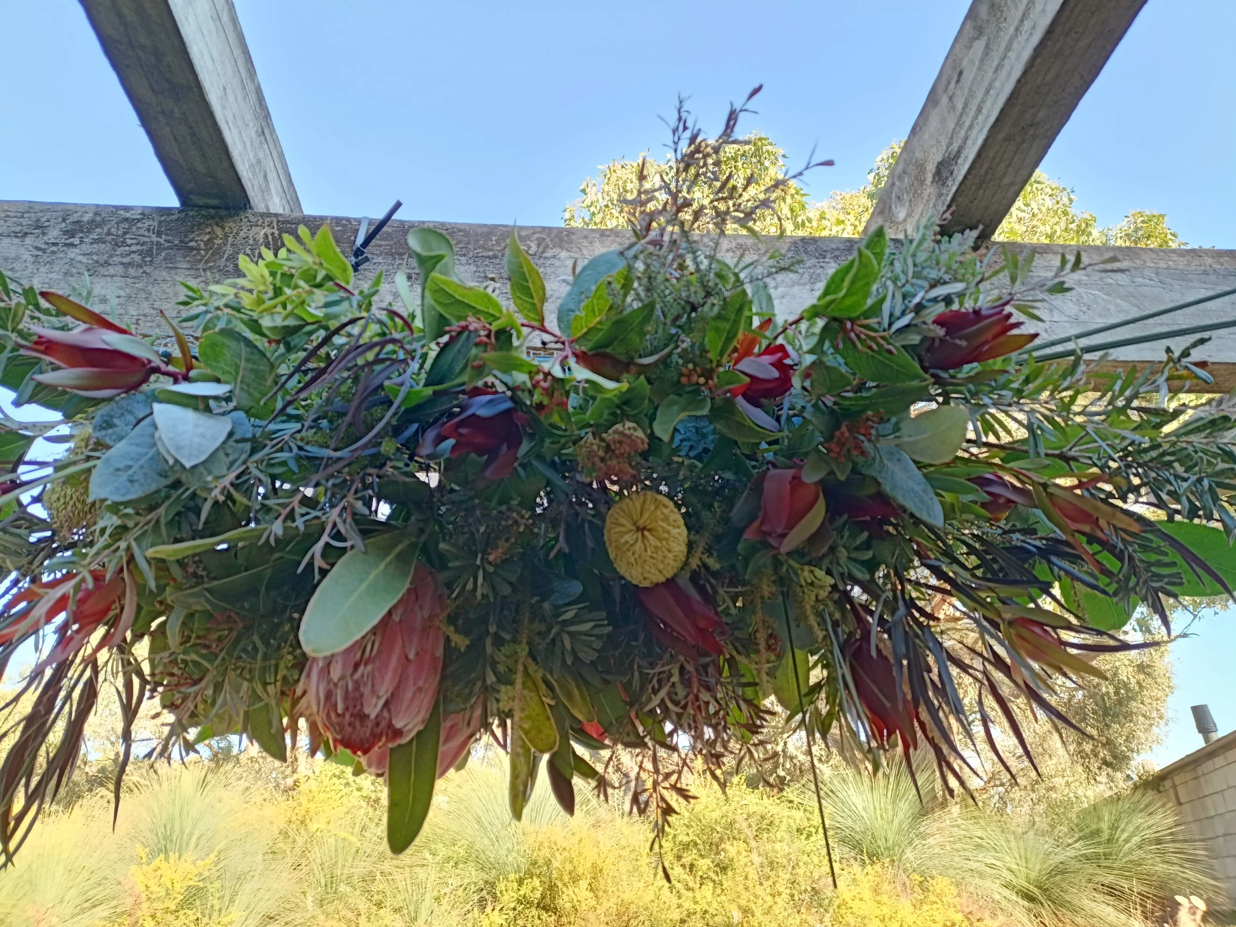  Native floral installation. 
