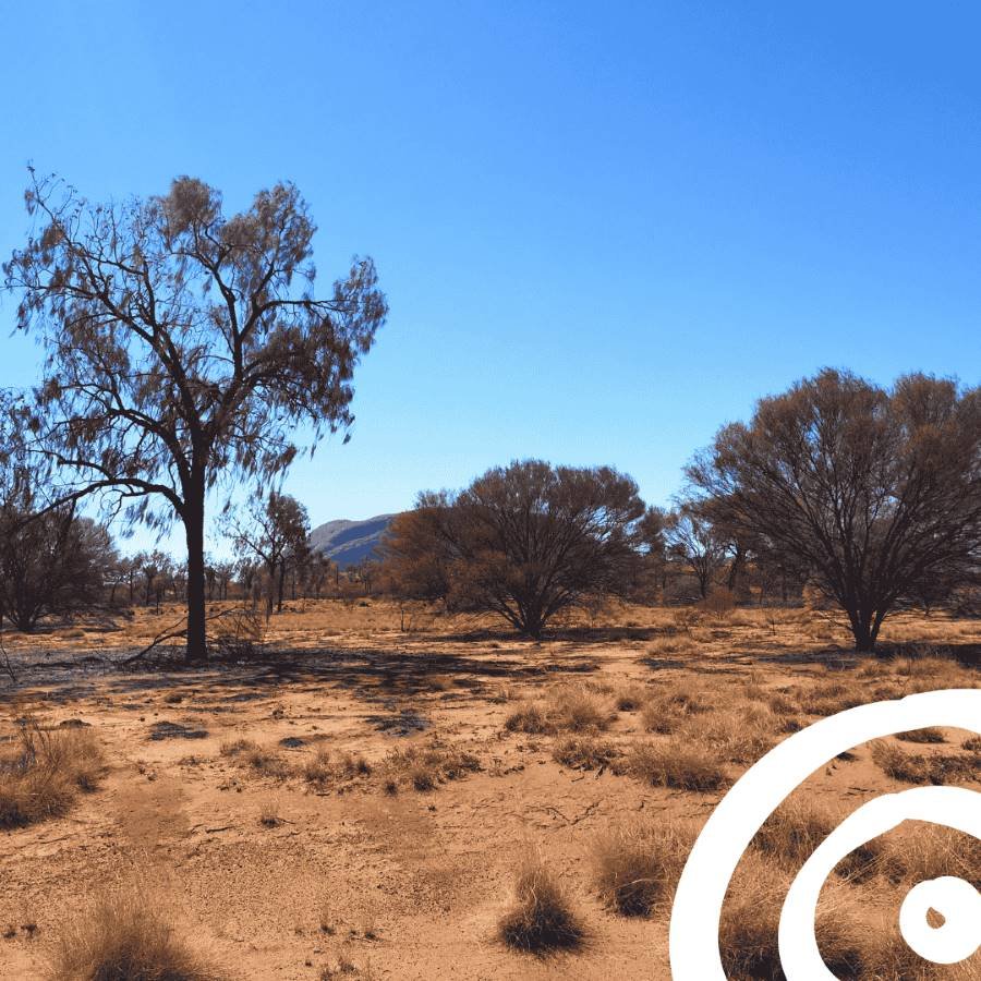  Desert Northern Territory (NT). Catherine collaborated on a couple of community projects remotely, including Wunun in the NT. 