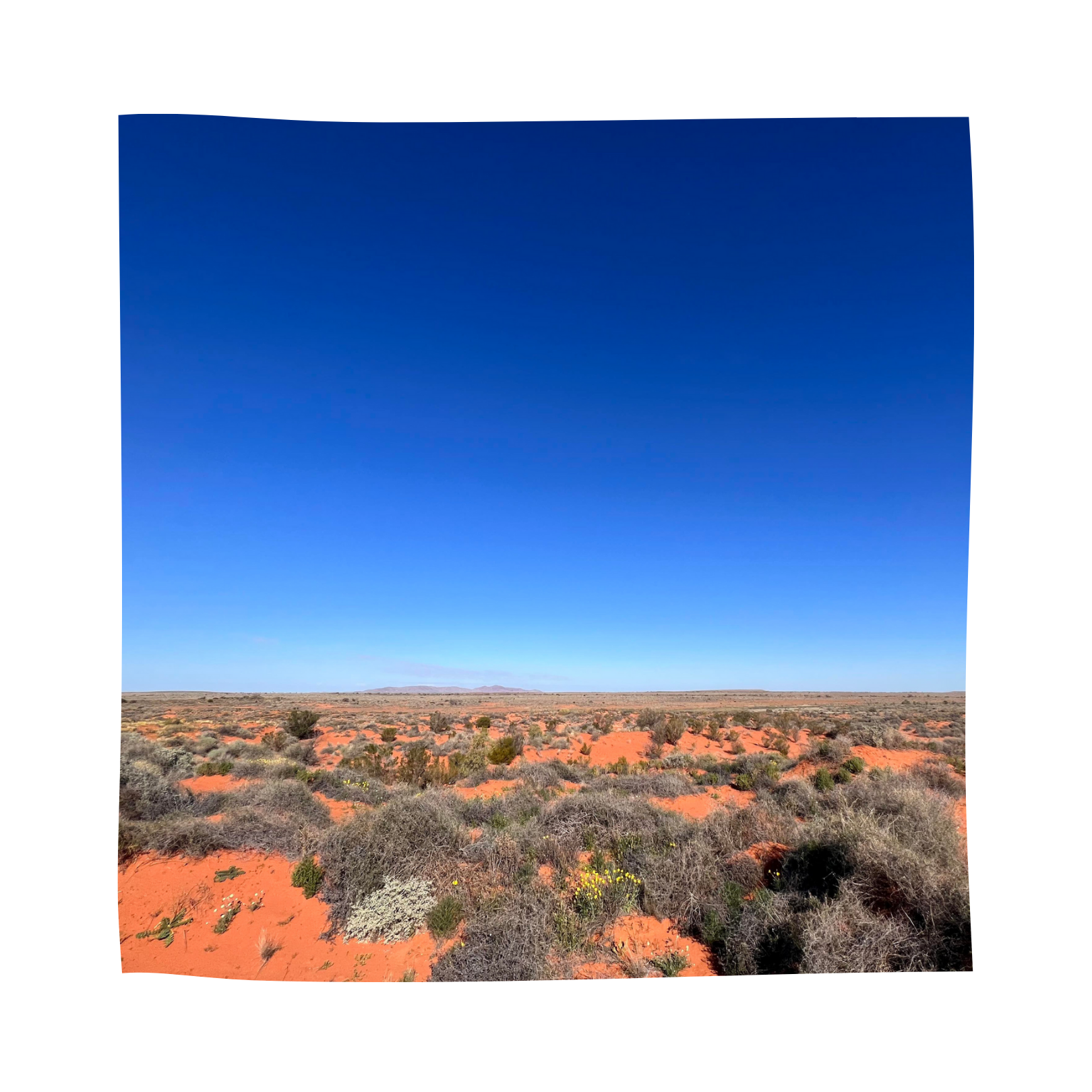 Community First Development