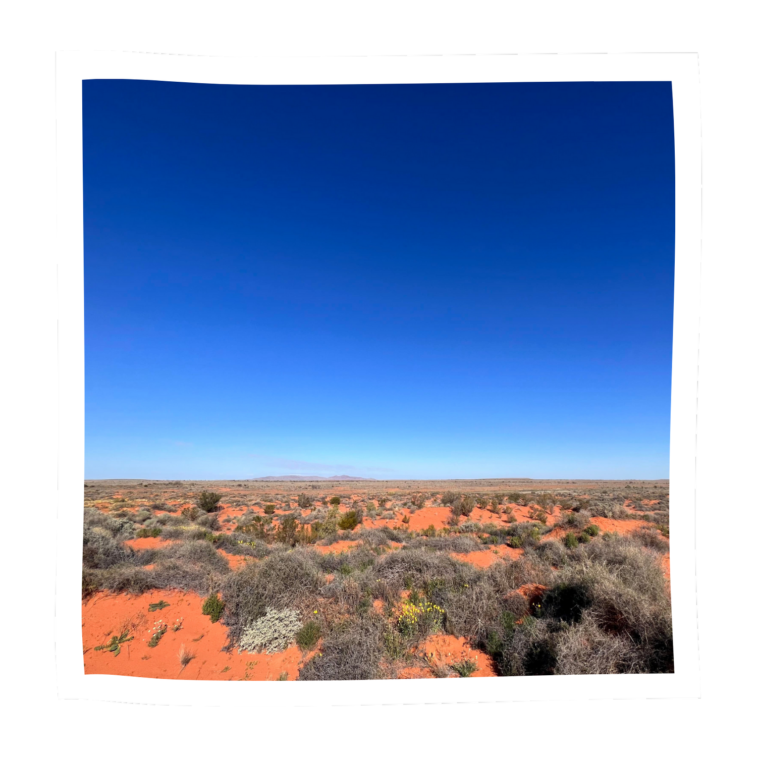 Community First Development