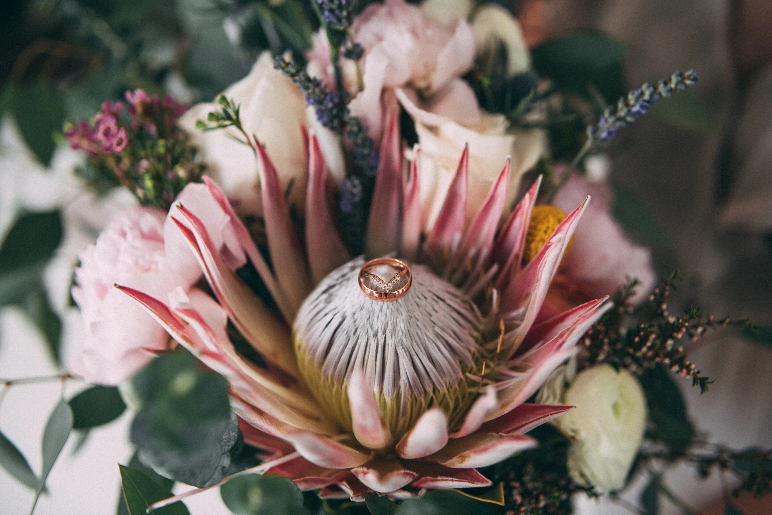 Katie&CamWedding-LavenderFarm-July7,2018-LauraOlsonPhotography-SunshineCoastWeddingPhotographer-5479.jpg