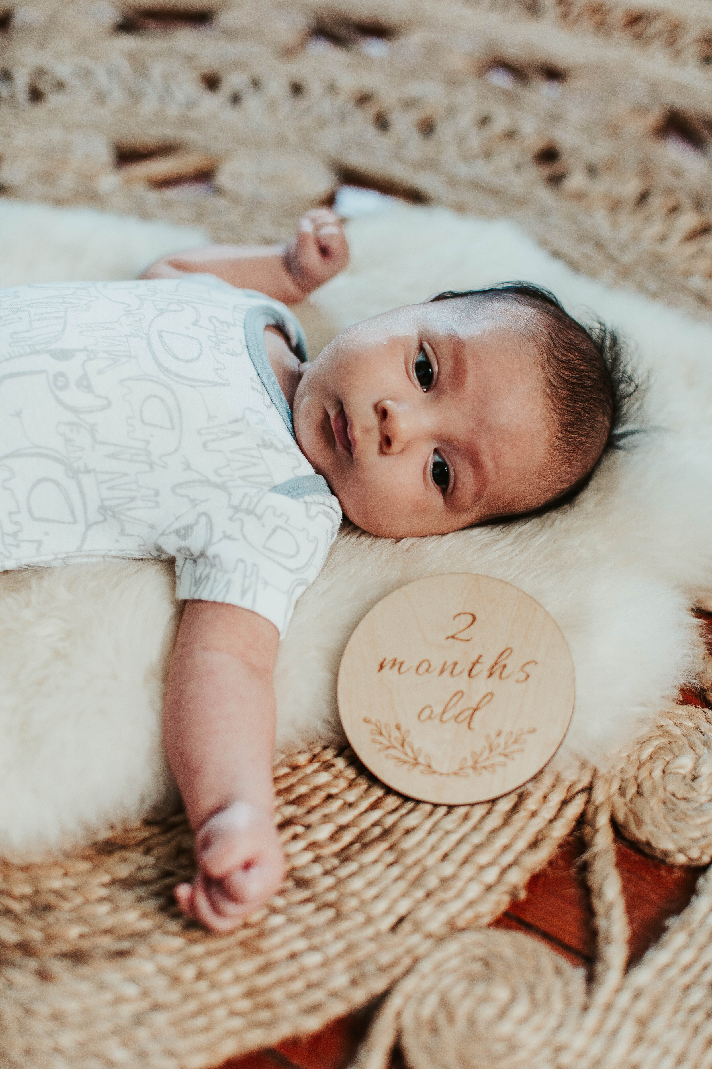 archie 2 months-9.jpg