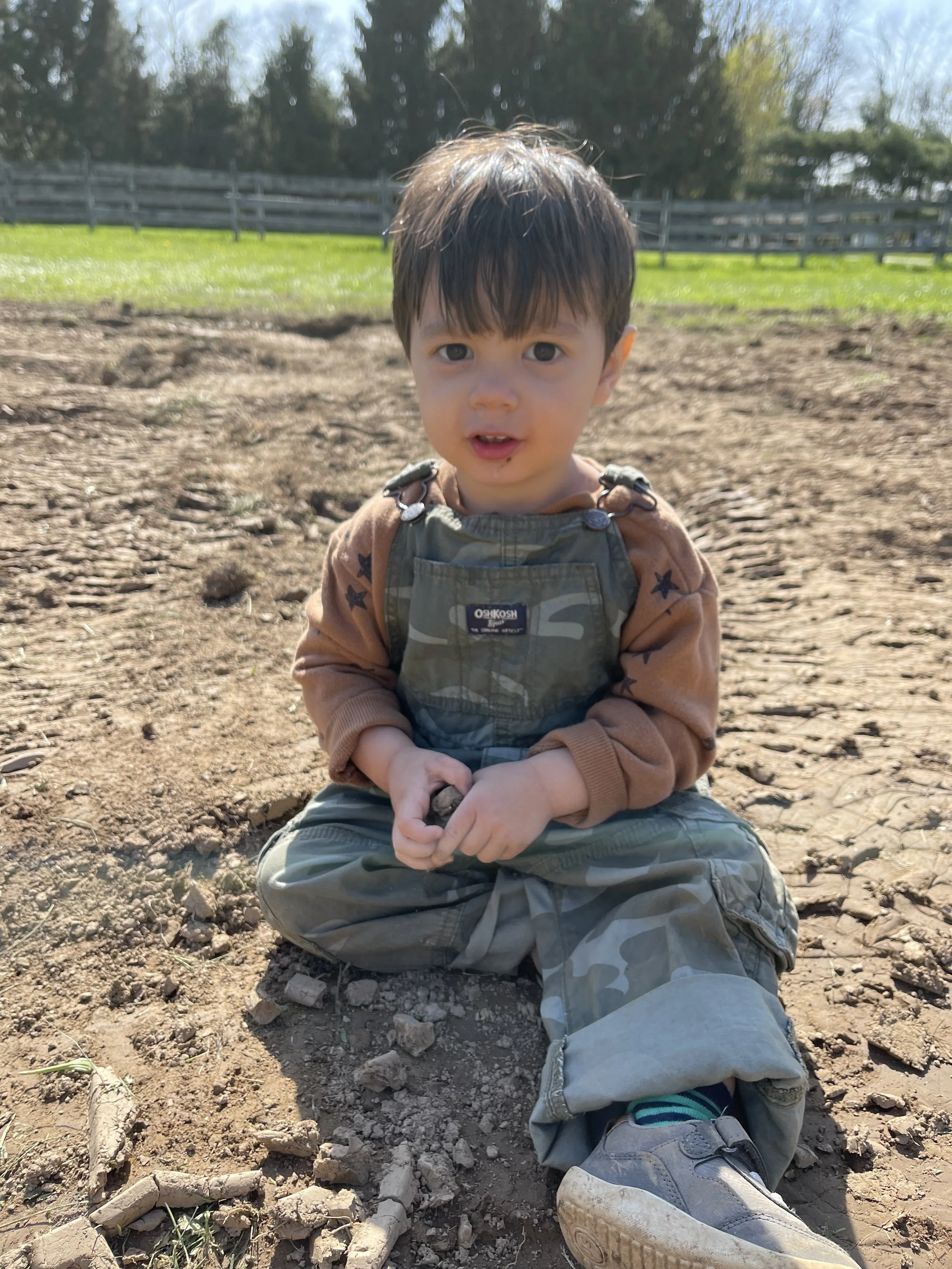 Precious Days In The Sun 