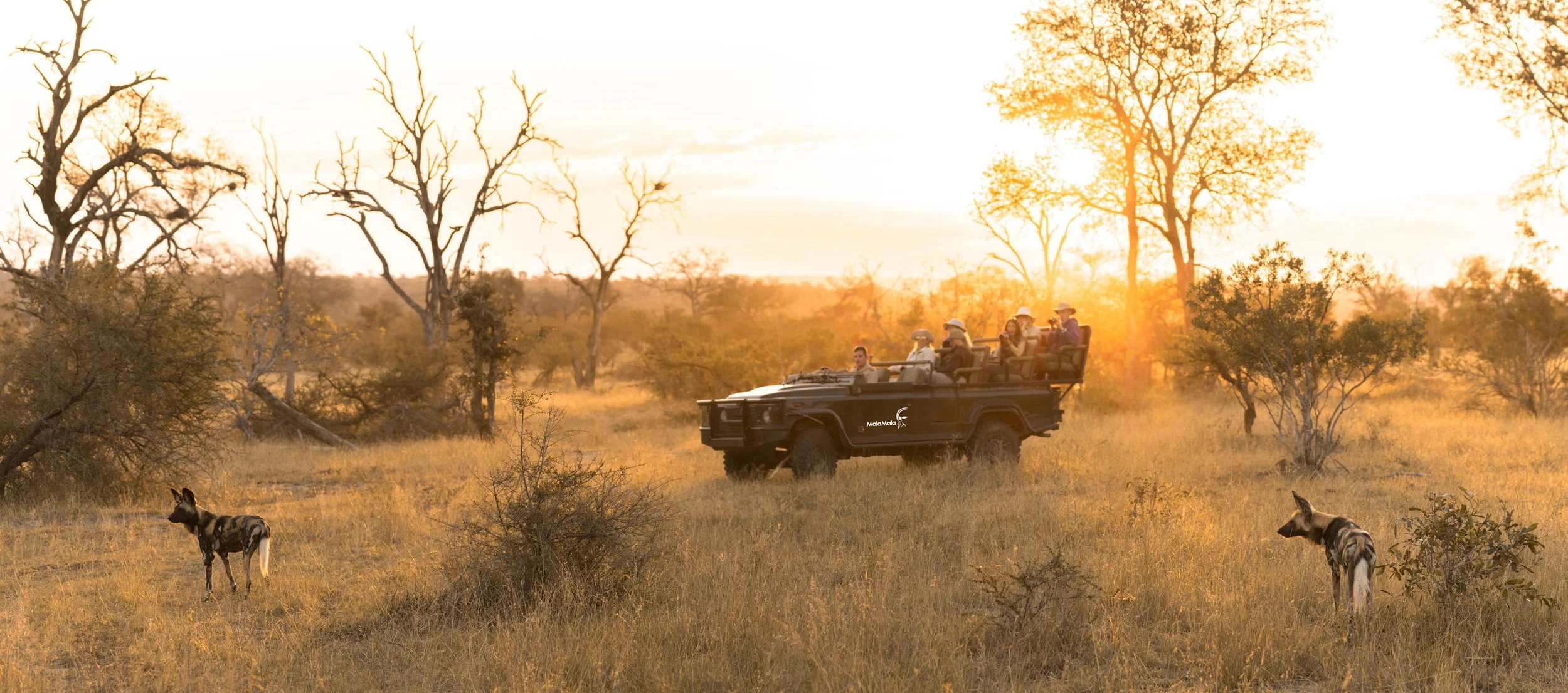 Sabino Castelluccio , Burlington, MA