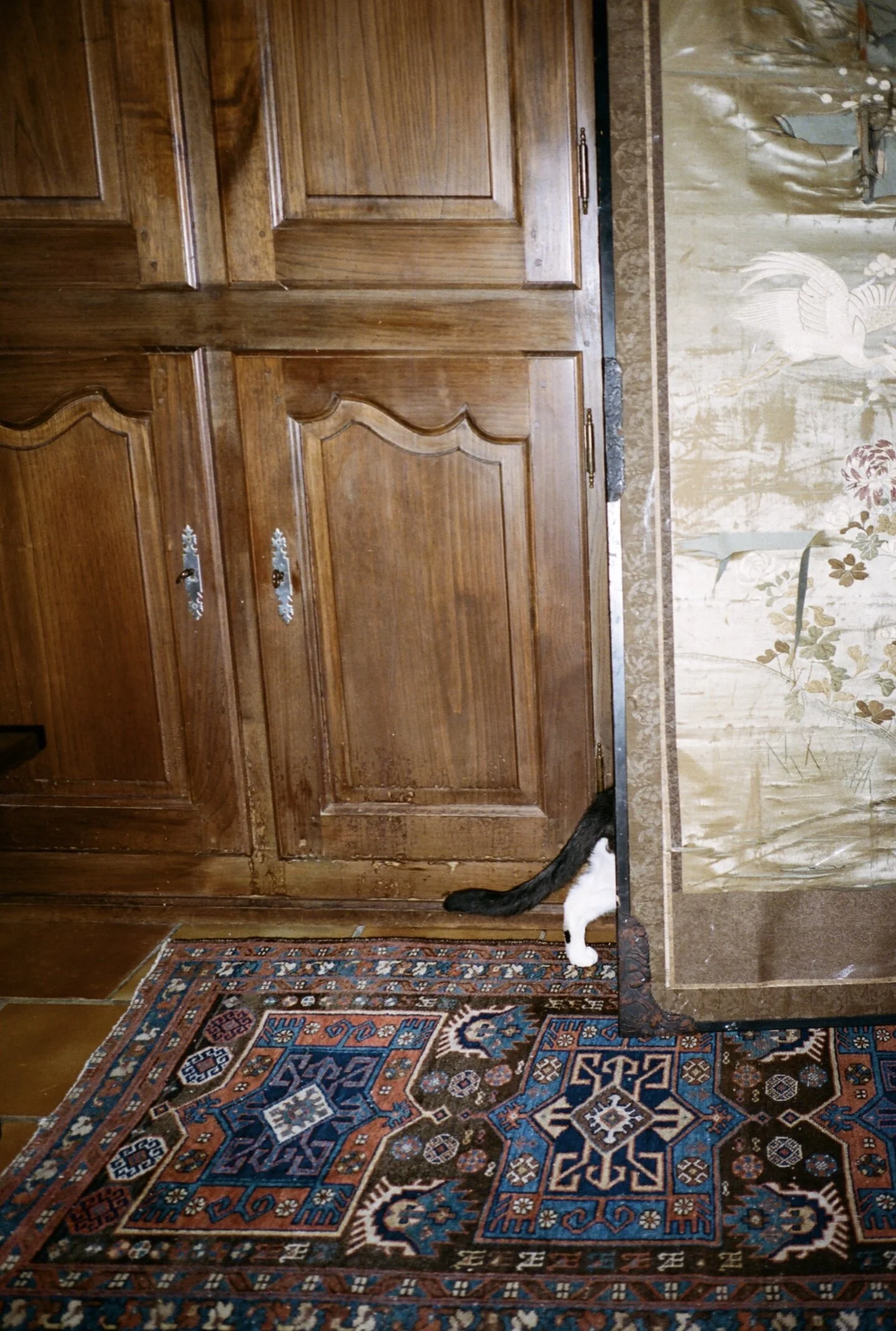 IMG-0259.jpg