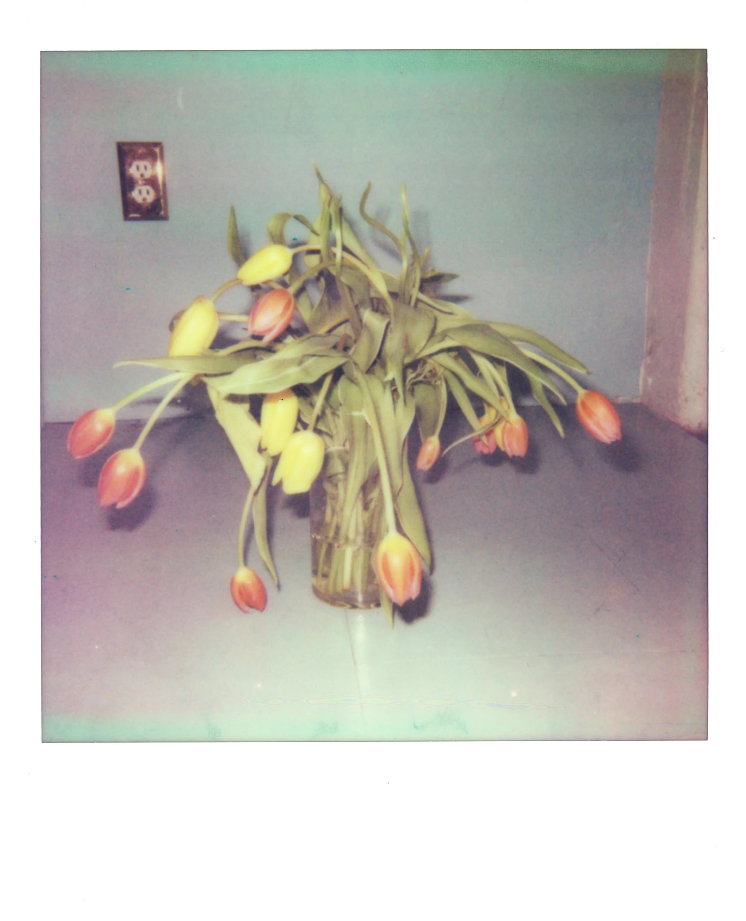 sabrinapolaroids06 2.JPG