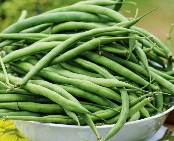 7D325B62-CC63-46F4-AC2F-BF408D5AB44A